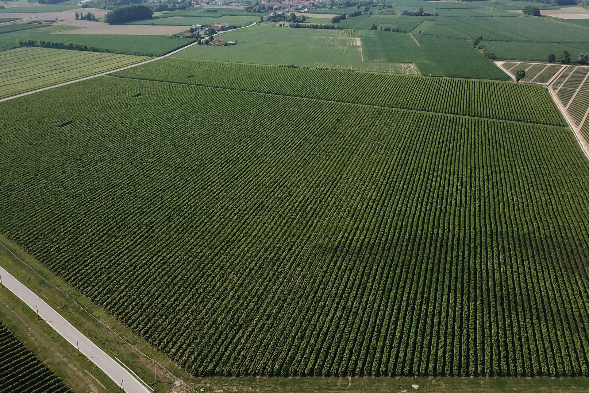 VILLAS, APARTMENTS AND FARMS FOR SALE, FRIULI-VENEZIA GIULIA