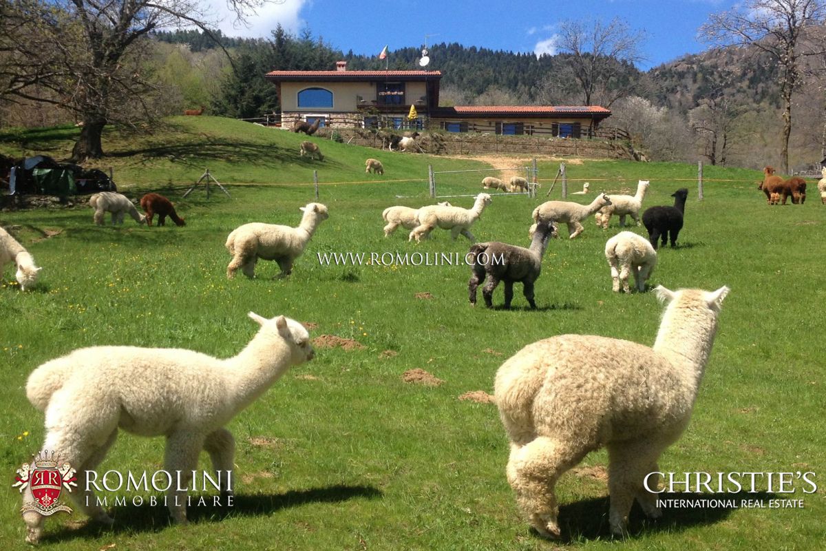 ORGANIC FARM FOR SALE IN ITALY