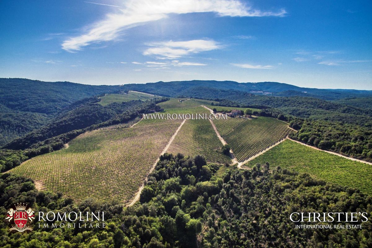 ORGANIC FARM FOR SALE IN ITALY