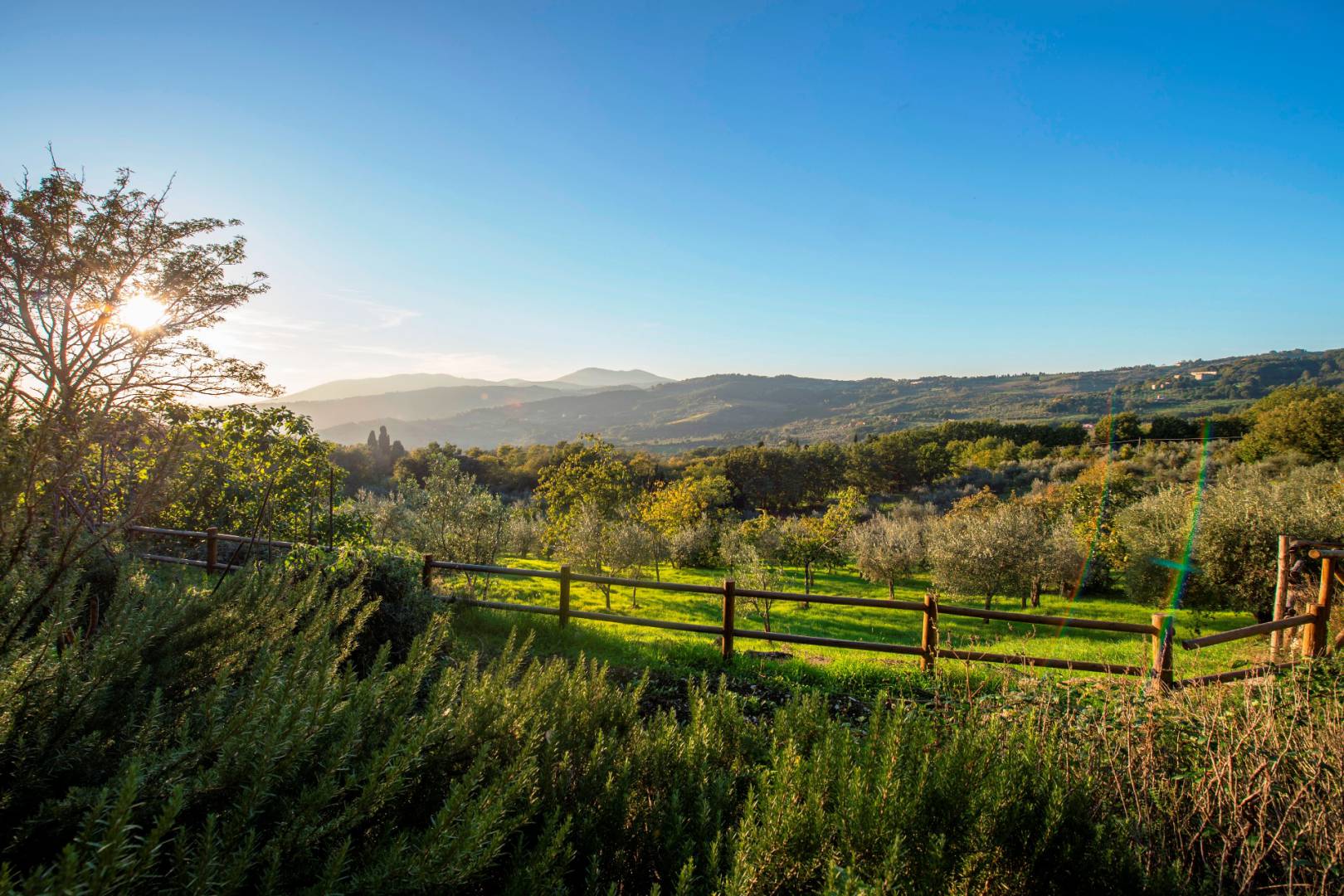 COLLI FIORENTINI - AZIENDE VITIVINICOLE E IMMOBILI DI LUSSO IN VENDITA A FIRENZE, TOSCANA