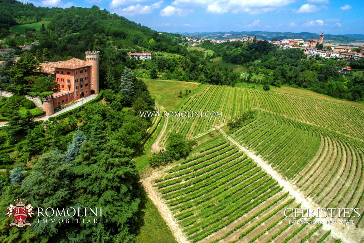 AZIENDE VITIVINICOLE IN VENDITA NEL MONFERRATO, CASTELLO IN VENDITA IN PIEMONTE, FATTORIE E CASALI IN VENDITA NEL MONFERRATO