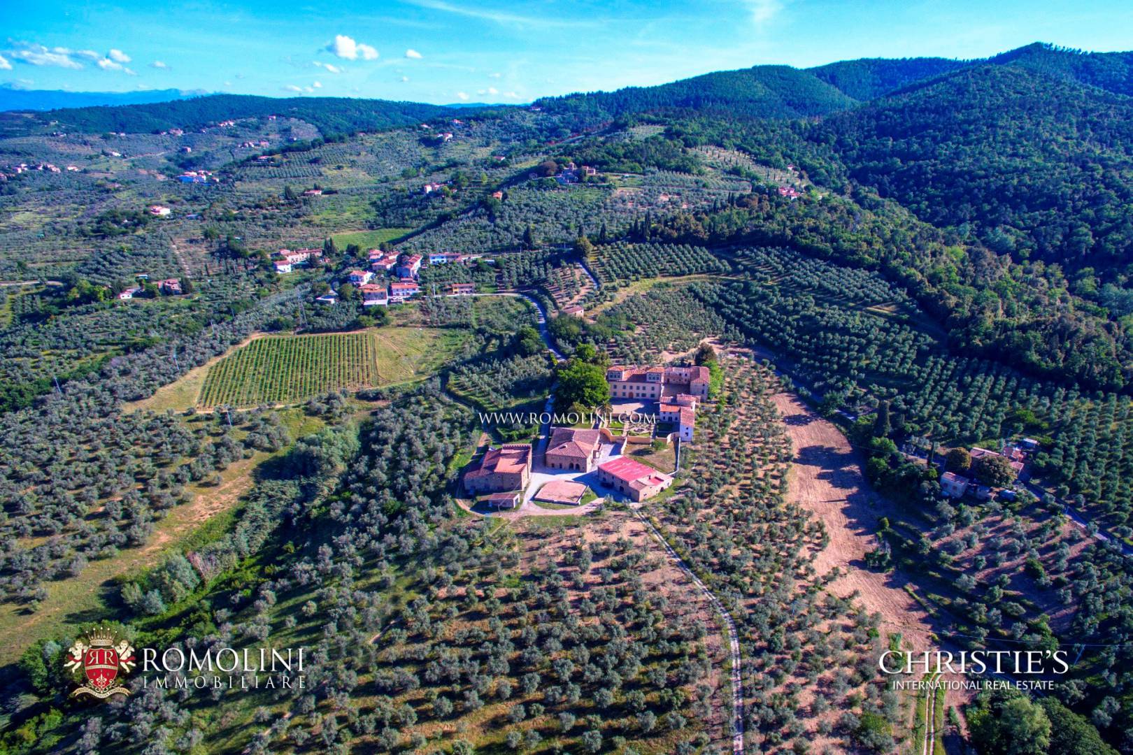 COLLI FIORENTINI - AZIENDE VITIVINICOLE E IMMOBILI DI LUSSO IN VENDITA A FIRENZE, TOSCANA