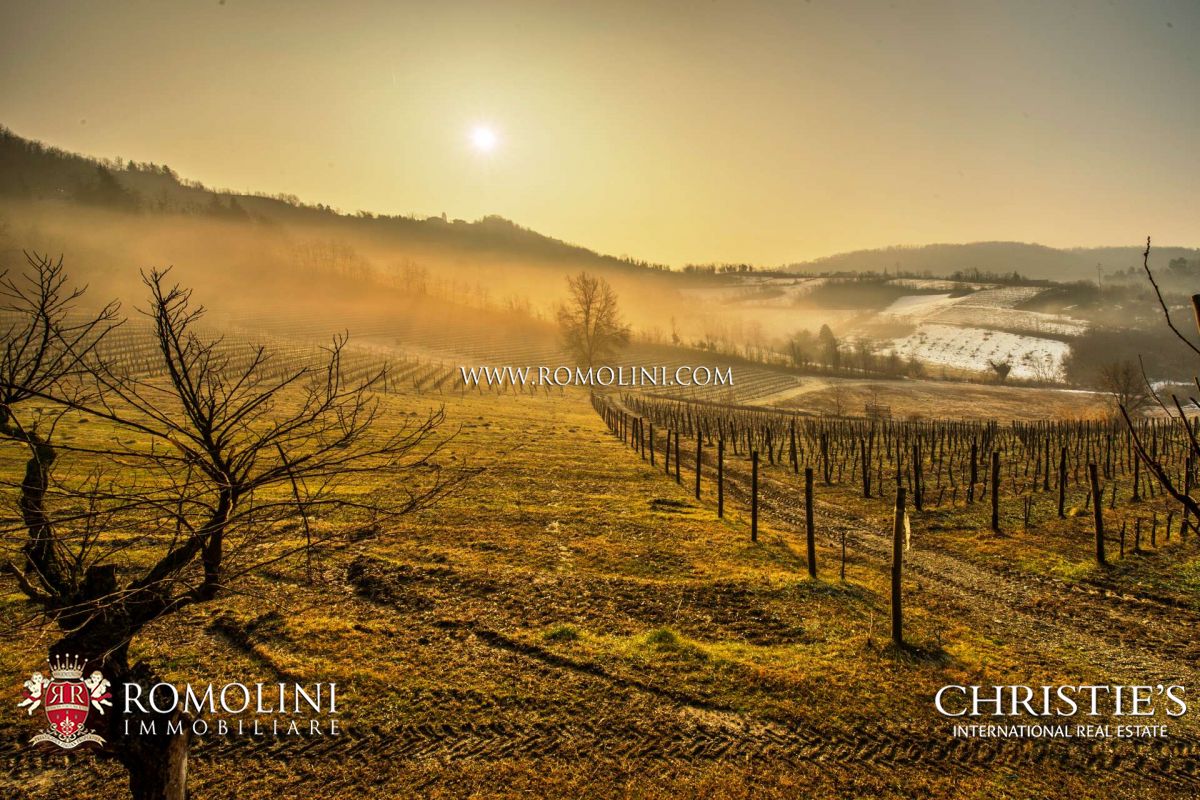 AZIENDE VITIVINICOLE IN VENDITA NEL MONFERRATO, CASTELLO IN VENDITA IN PIEMONTE, FATTORIE E CASALI IN VENDITA NEL MONFERRATO