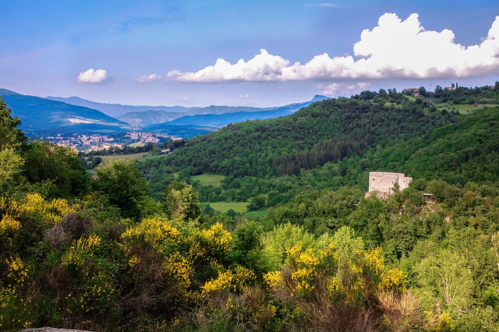 CASENTINO VILLE IN VENDITA, CASALE RUSTICO AGRITURISMO