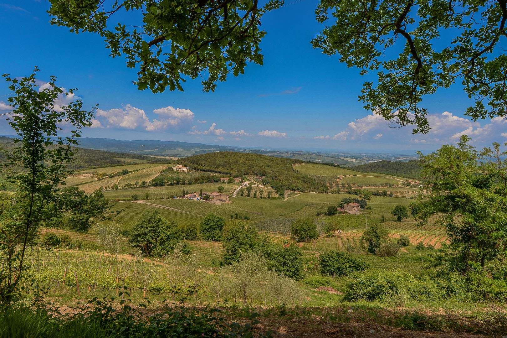 CRETE SENESI CASALE IN VENDITA, VILLA NELLE CRETE SENESI, AGRITURISMO IN VENDITA