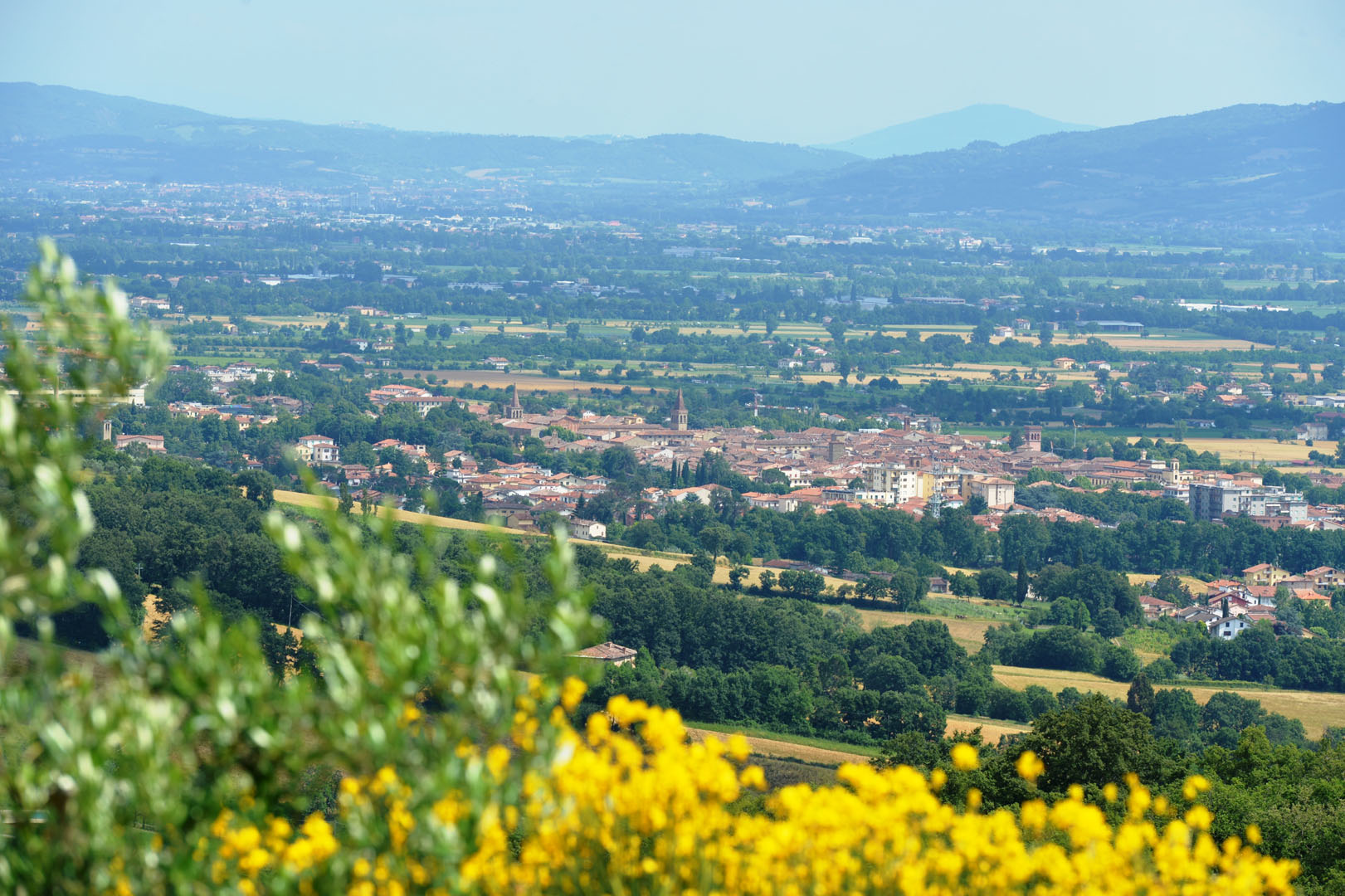 VALTIBERINA VILLE CASALI AGRITURISMI IN VENDITA