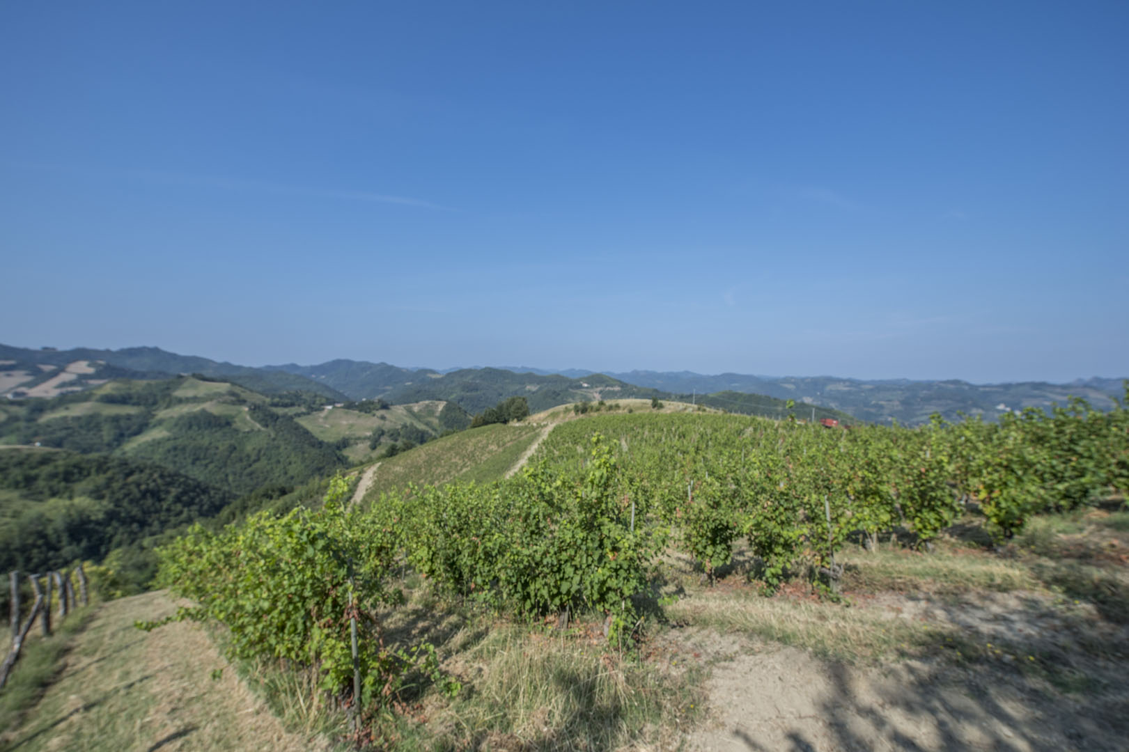 VALMARECCHIA IMMOBILI DI PRESTIGIO, VILLE E CASALI IN VENDITA
