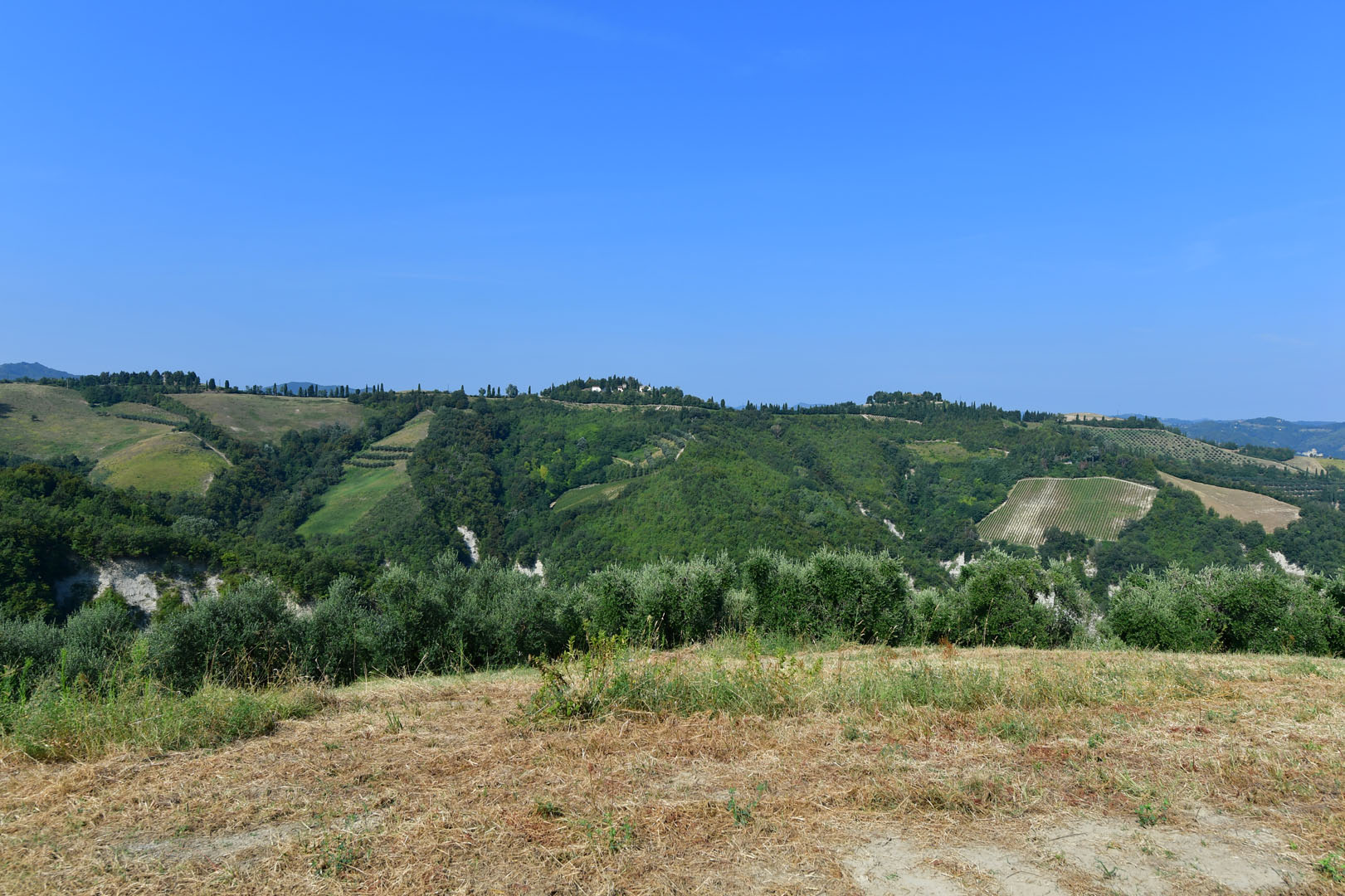 VALMARECCHIA IMMOBILI DI PRESTIGIO, VILLE E CASALI IN VENDITA