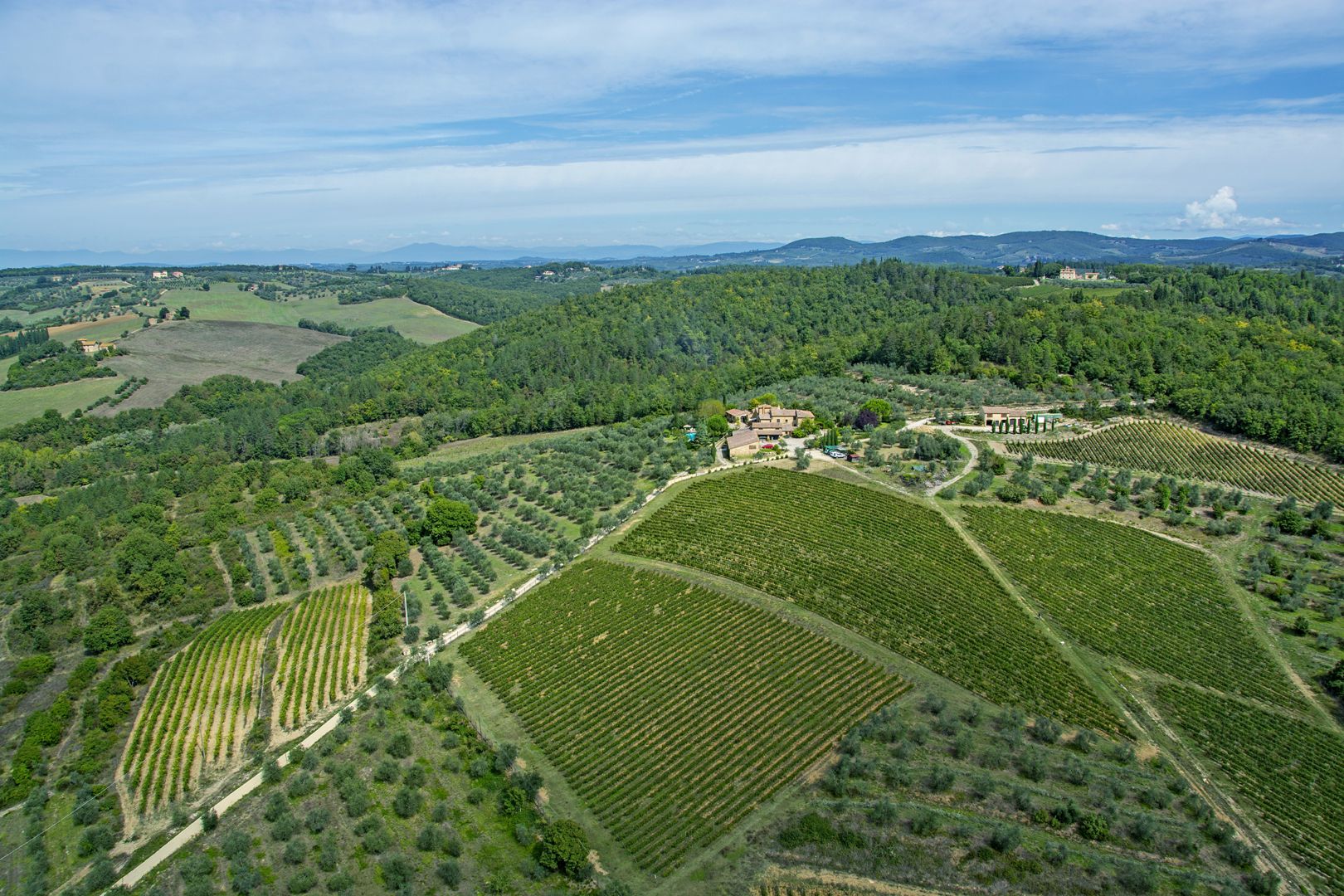 COLLINE DEL CHIANTI- AGRITURISMO, CASALE, VILLA, AZIENDA AGRICOLA VITIVINICOLA IN VENDITA