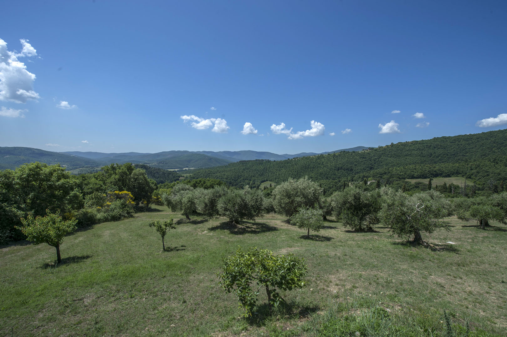 VAL DI CHIO IMMOBILI DI LUSSO IN VENDITA, VILLE E CASALI IN VAL DI CHIO IN VENDITA