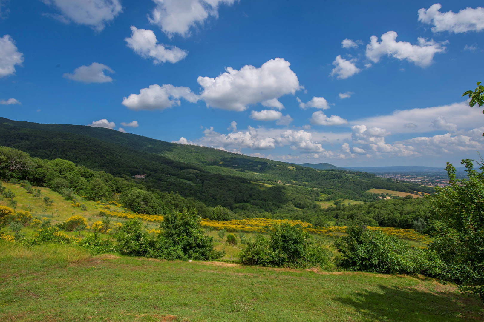 VALTIBERINA VILLE CASALI AGRITURISMI IN VENDITA