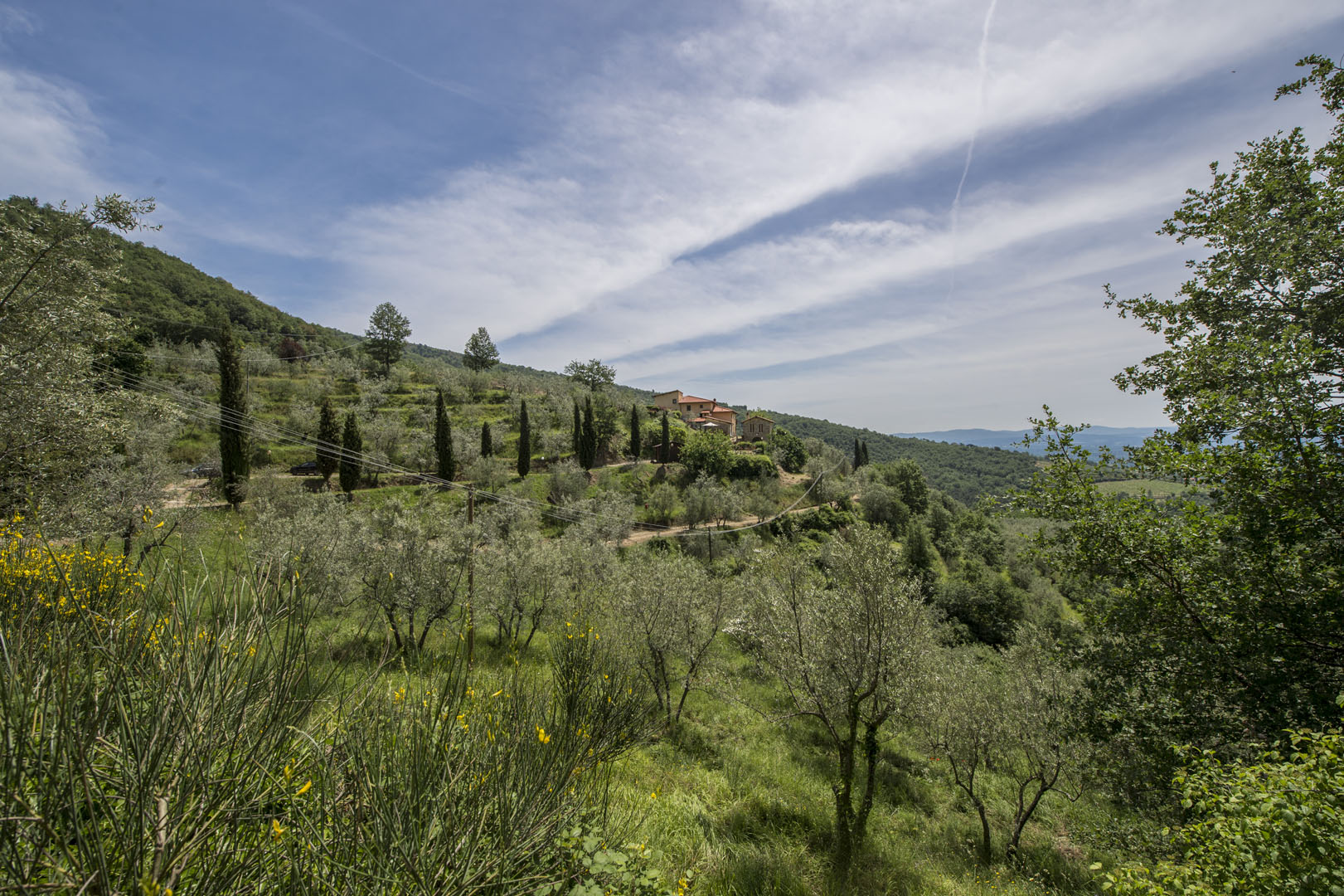 VALDARNO IMMOBILI DI PRESTIGIO IN VENDITA, VILLE E CASALI IN VALDARNO IN VENDITA
