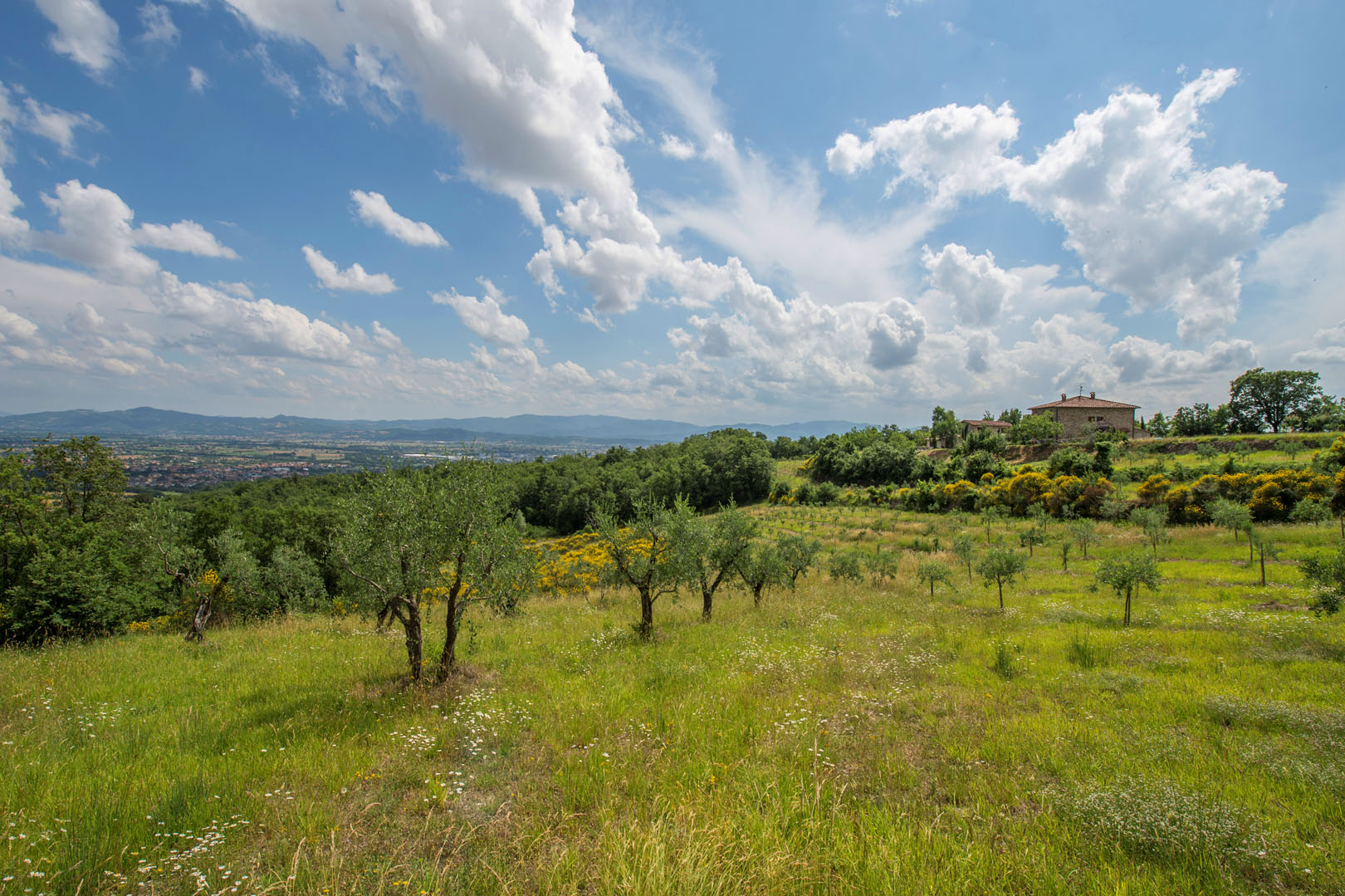 VALTIBERINA VILLE CASALI AGRITURISMI IN VENDITA