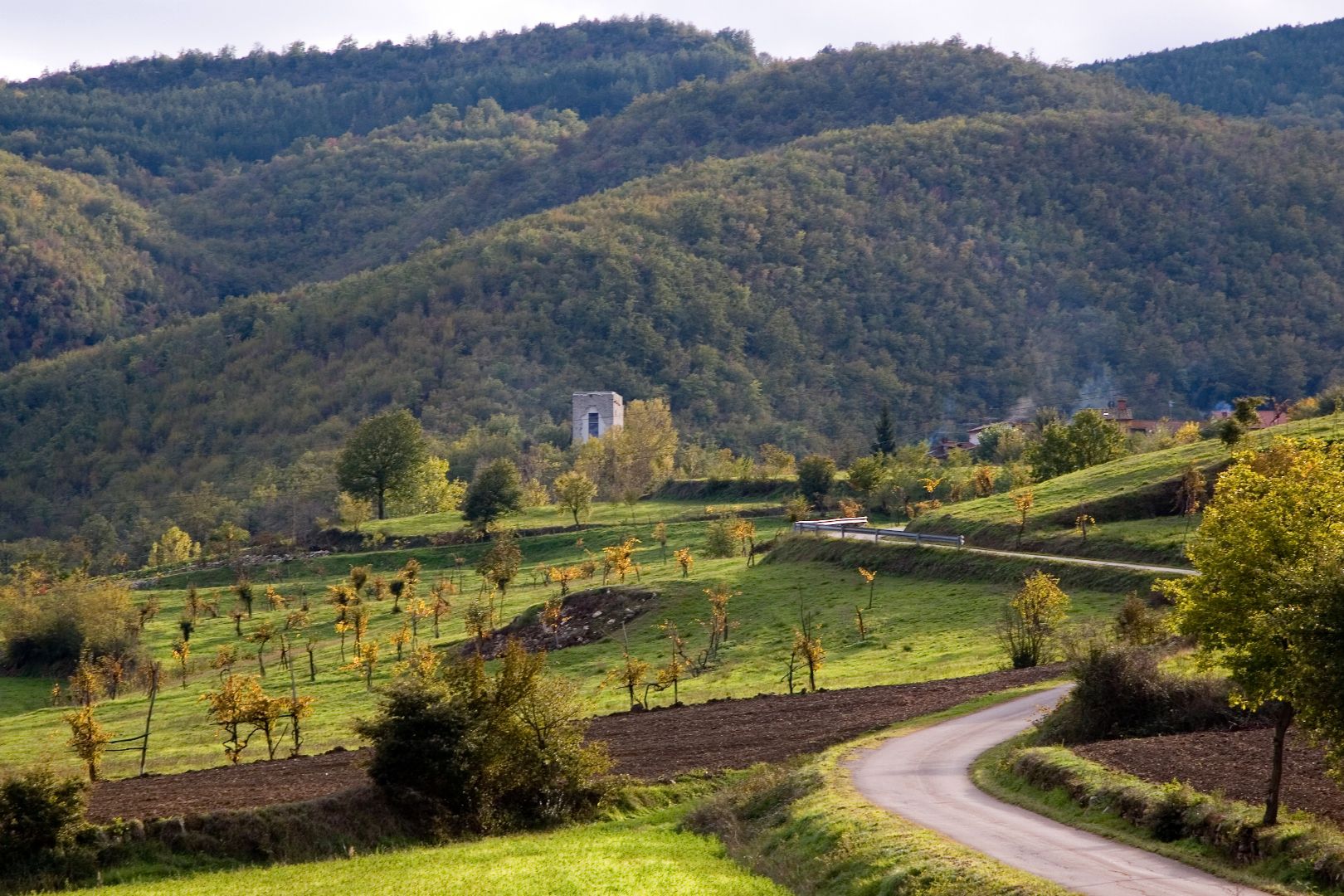 CASENTINO VILLE IN VENDITA, CASALE RUSTICO AGRITURISMO
