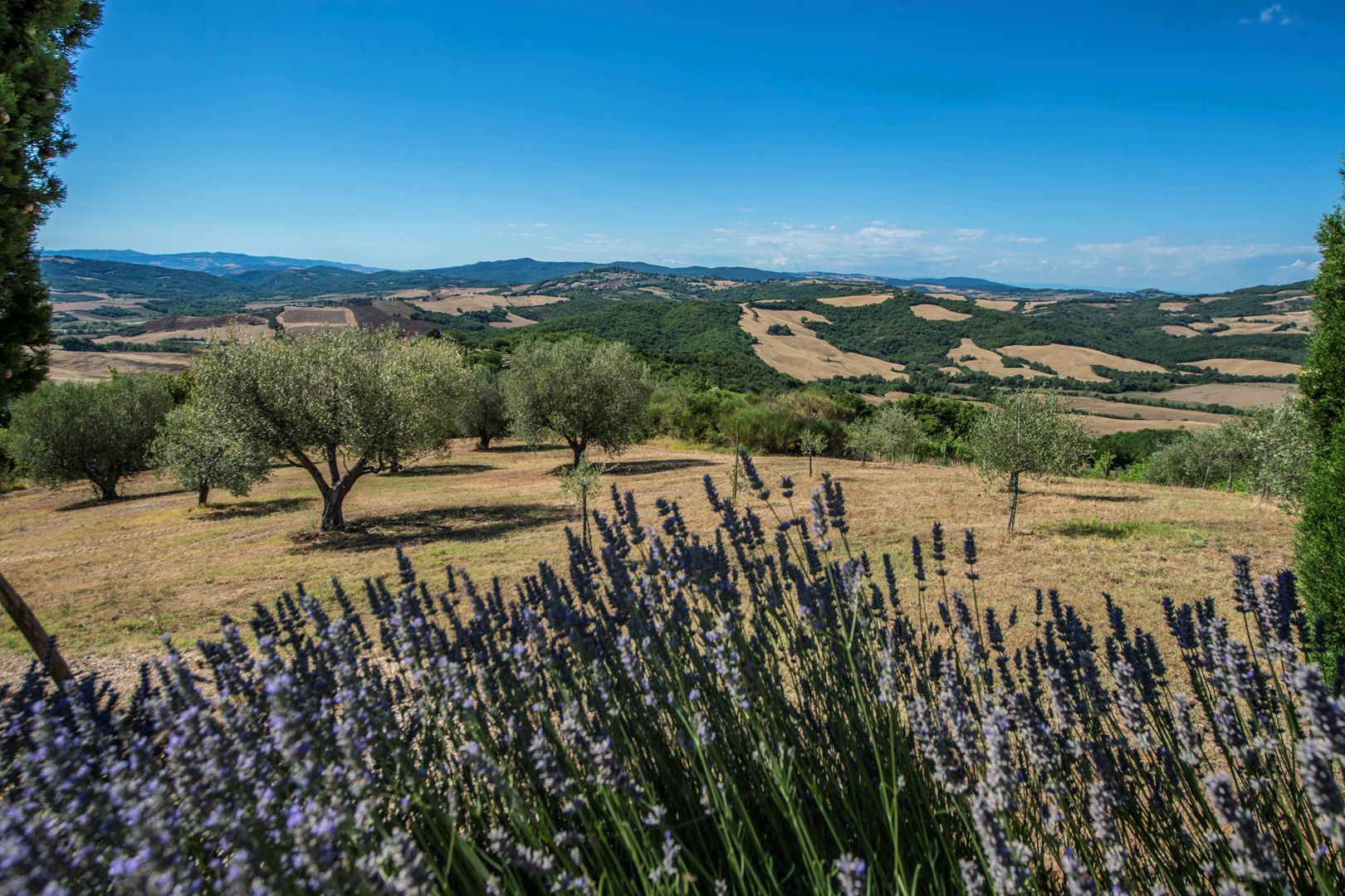 VAL D'ORCIA IMMOBILI IN VENDITA IN VAL D'ORCIA, VILLE DI LUSSO, CASALI E AZIENDE AGRICOLE VITIVINICOLE IN VENDITA IN VAL D'ORCIA
