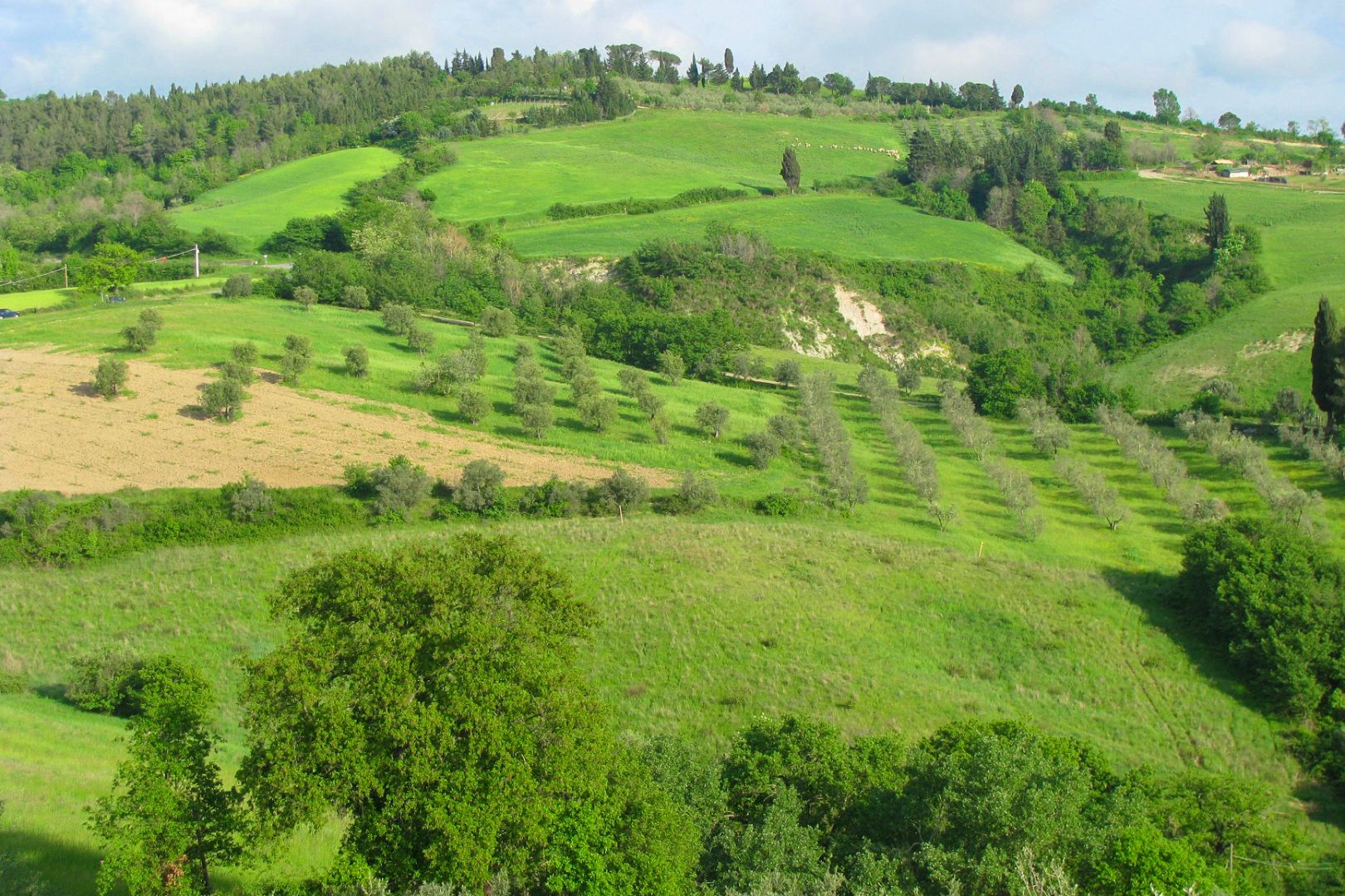COLLINE METALLIFERE - IMMOBILI DI LUSSO IN VENDITA NELLE PROVINCE DI LIVORNO, GROSSETO, SIENA E PISA