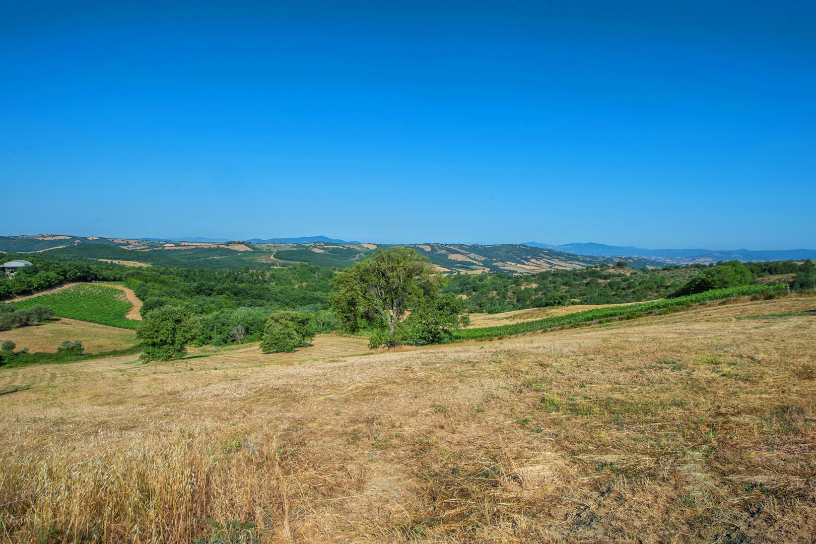 MAREMMA VILLE MARE, AZIENDE VITIVINICOLE, CASALI IN VENDITA MAREMMA, VINO MORELLINO DI SCANSANO