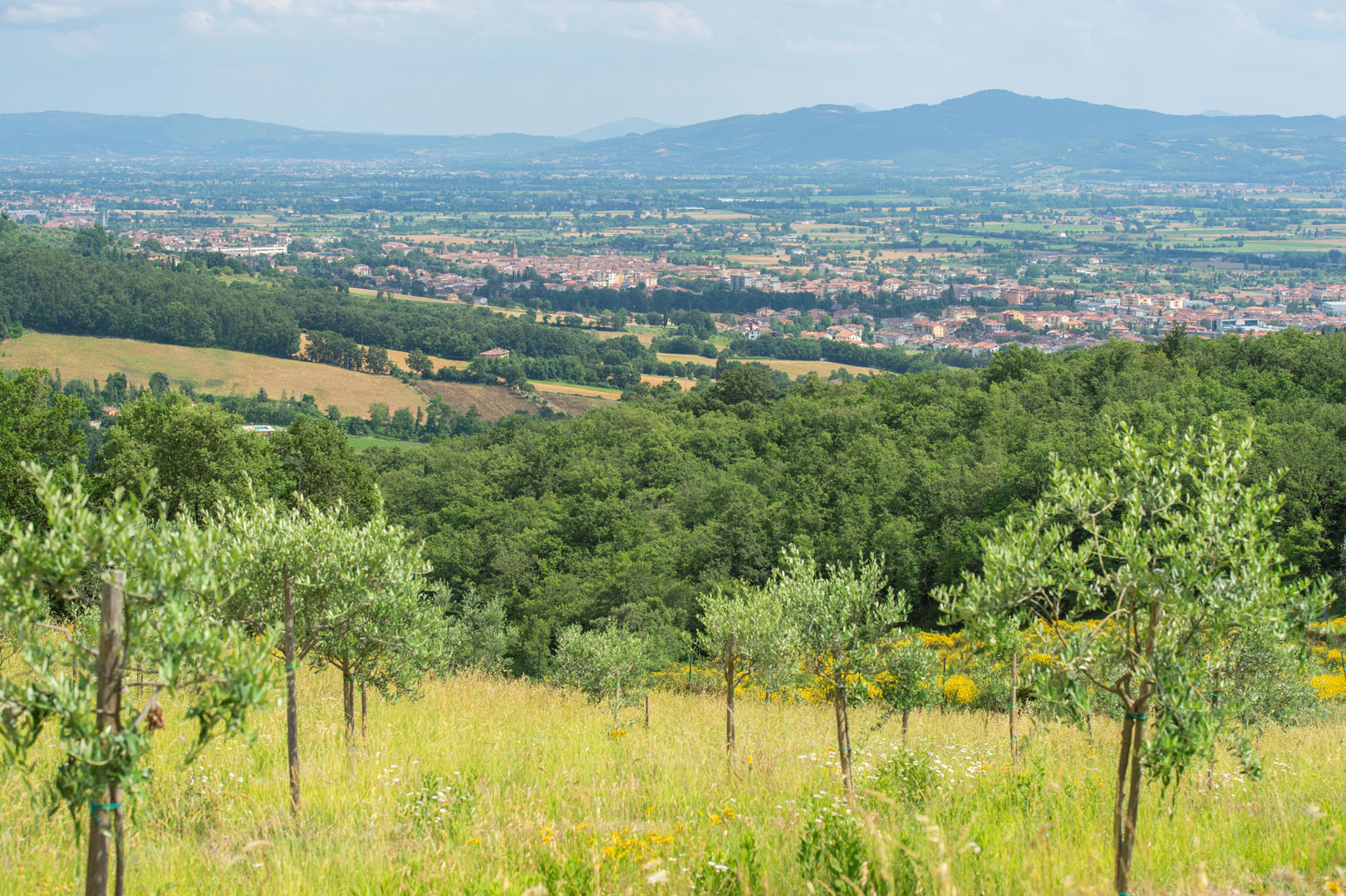 VALTIBERINA VILLE CASALI AGRITURISMI IN VENDITA