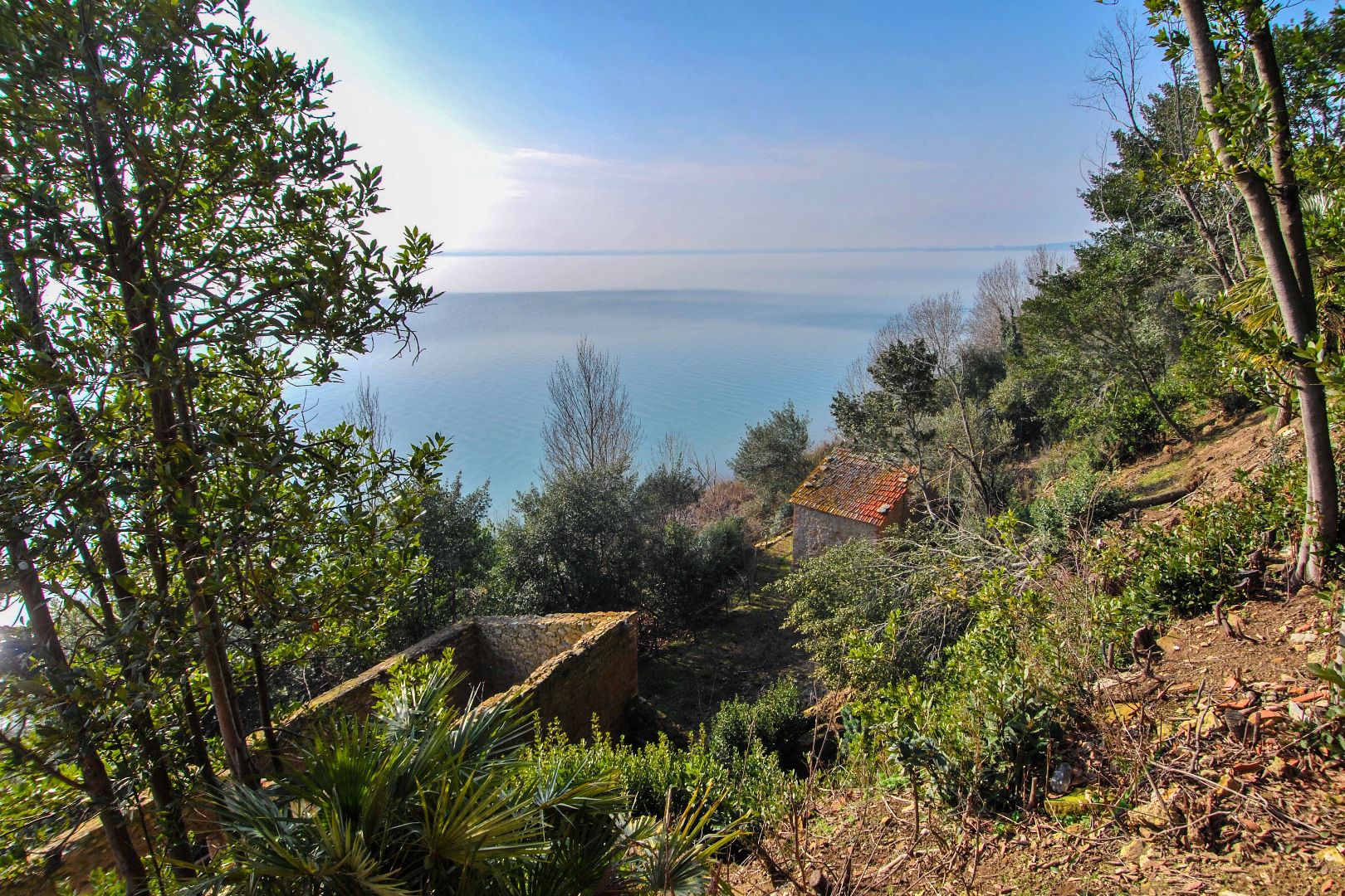 LAGO TRASIMENO: VILLE IN VENDITA, CASALI, AGRITURISMO VISTA LAGO