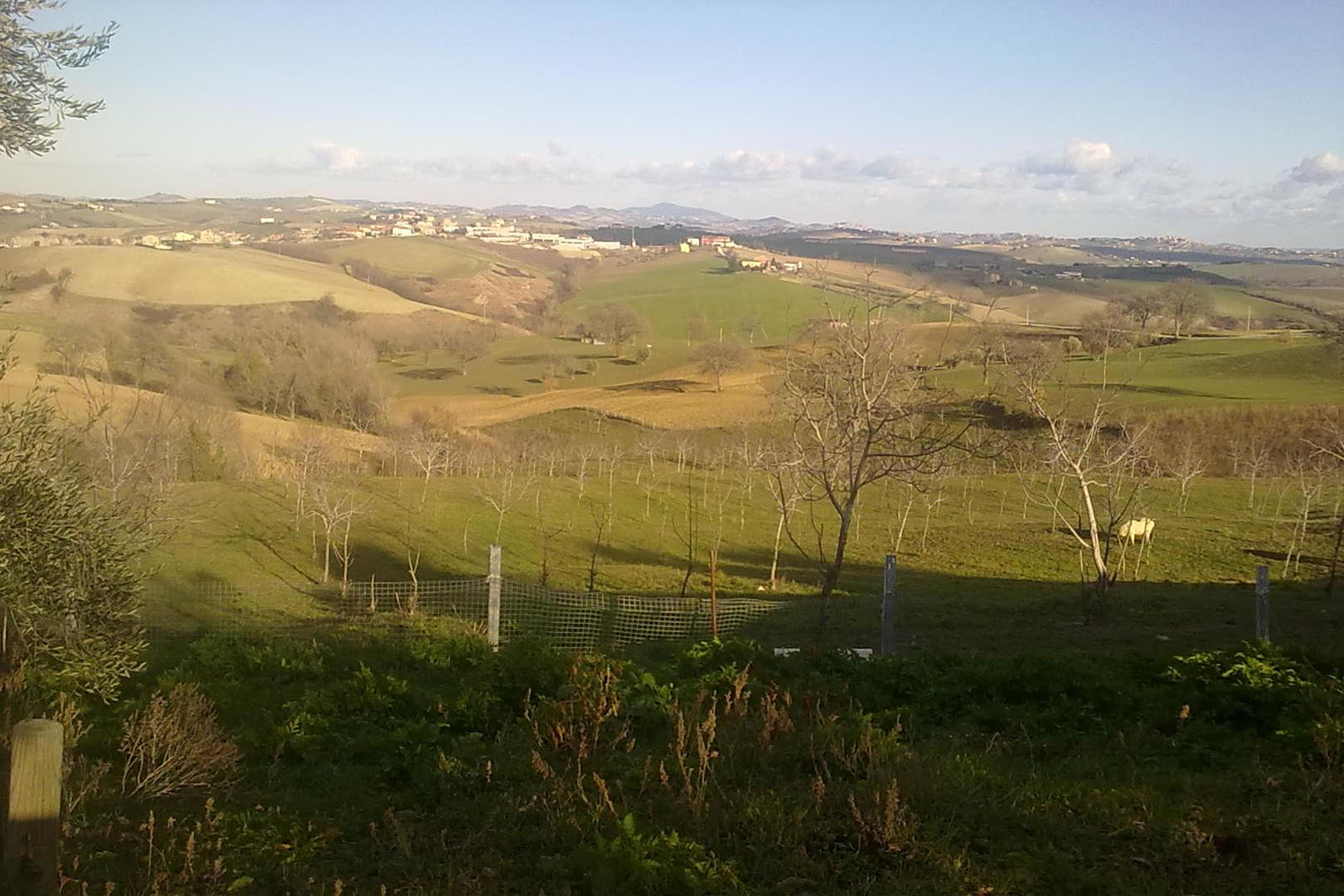 VALMARECCHIA IMMOBILI DI PRESTIGIO, VILLE E CASALI IN VENDITA