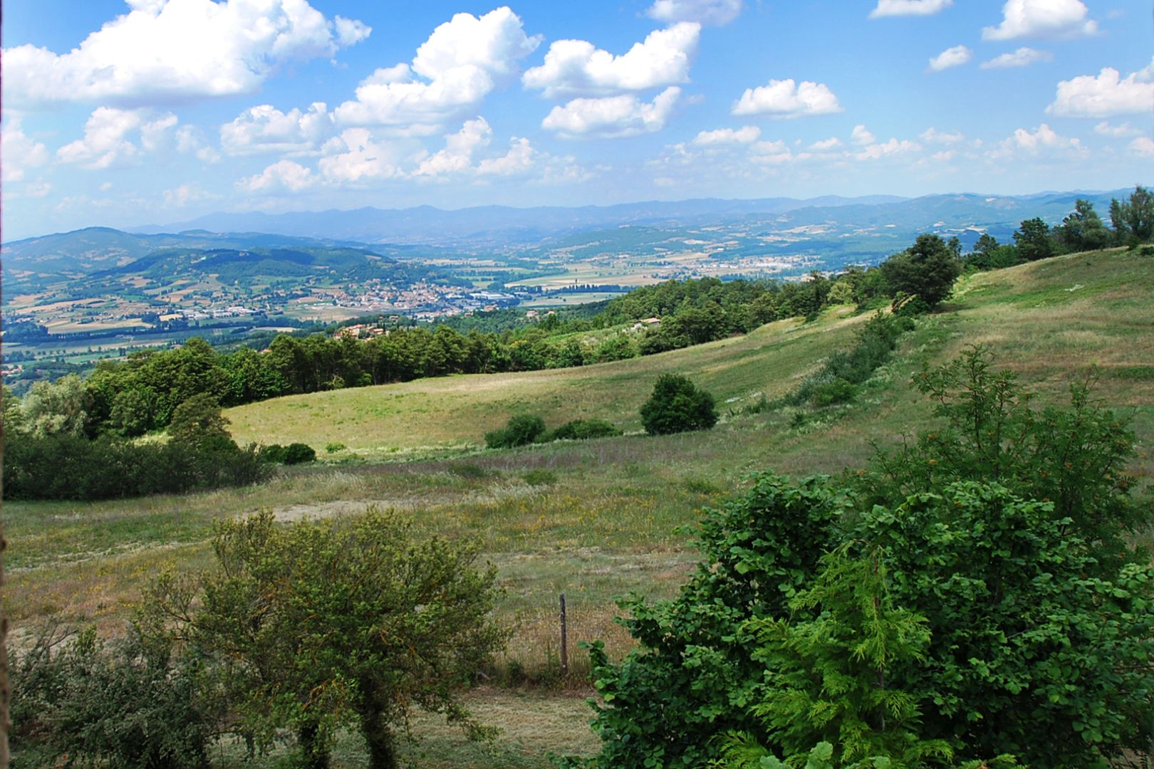 VAL D'ELSA : AZIENDE AGRICOLE; VILLE DI LUSSO CASALI IN VENDITA VAL Dï¿½ELSA 