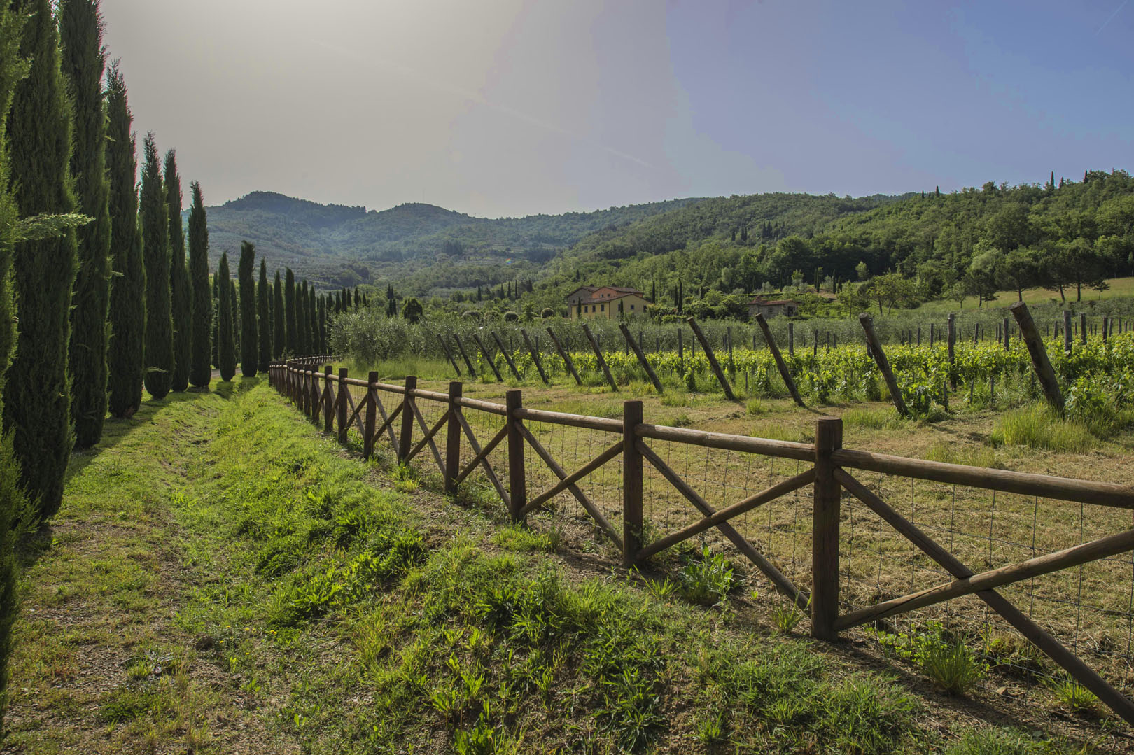 VAL DI CHIO IMMOBILI DI LUSSO IN VENDITA, VILLE E CASALI IN VAL DI CHIO IN VENDITA