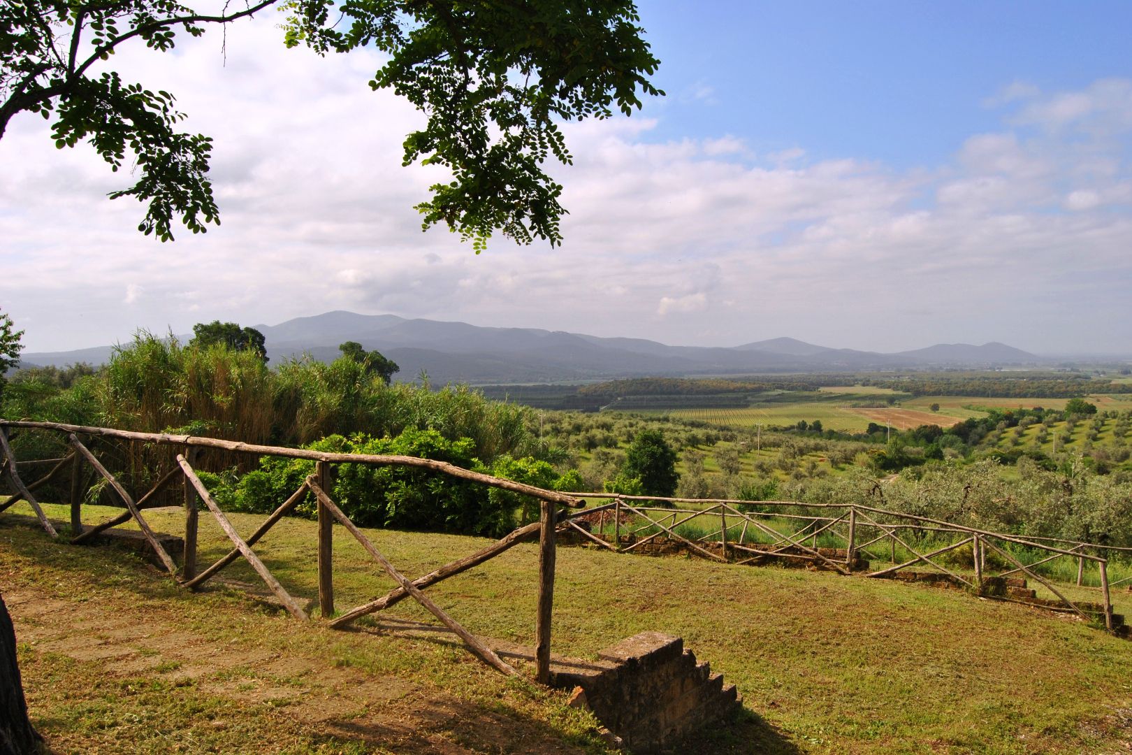 MAREMMA VILLE MARE, AZIENDE VITIVINICOLE, CASALI IN VENDITA MAREMMA, VINO MORELLINO DI SCANSANO