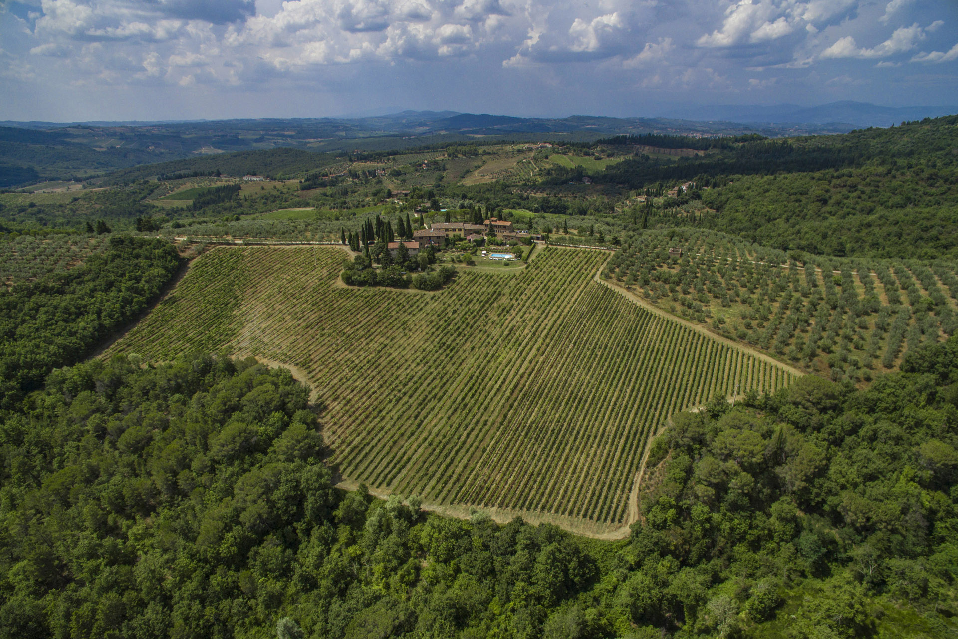 CHIANTI CLASSICO DOCG: STORIA E CURIOSITÃ€