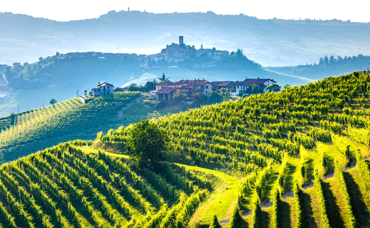 Investire in ville con vigneto: il binomio perfetto tra passione e profitto