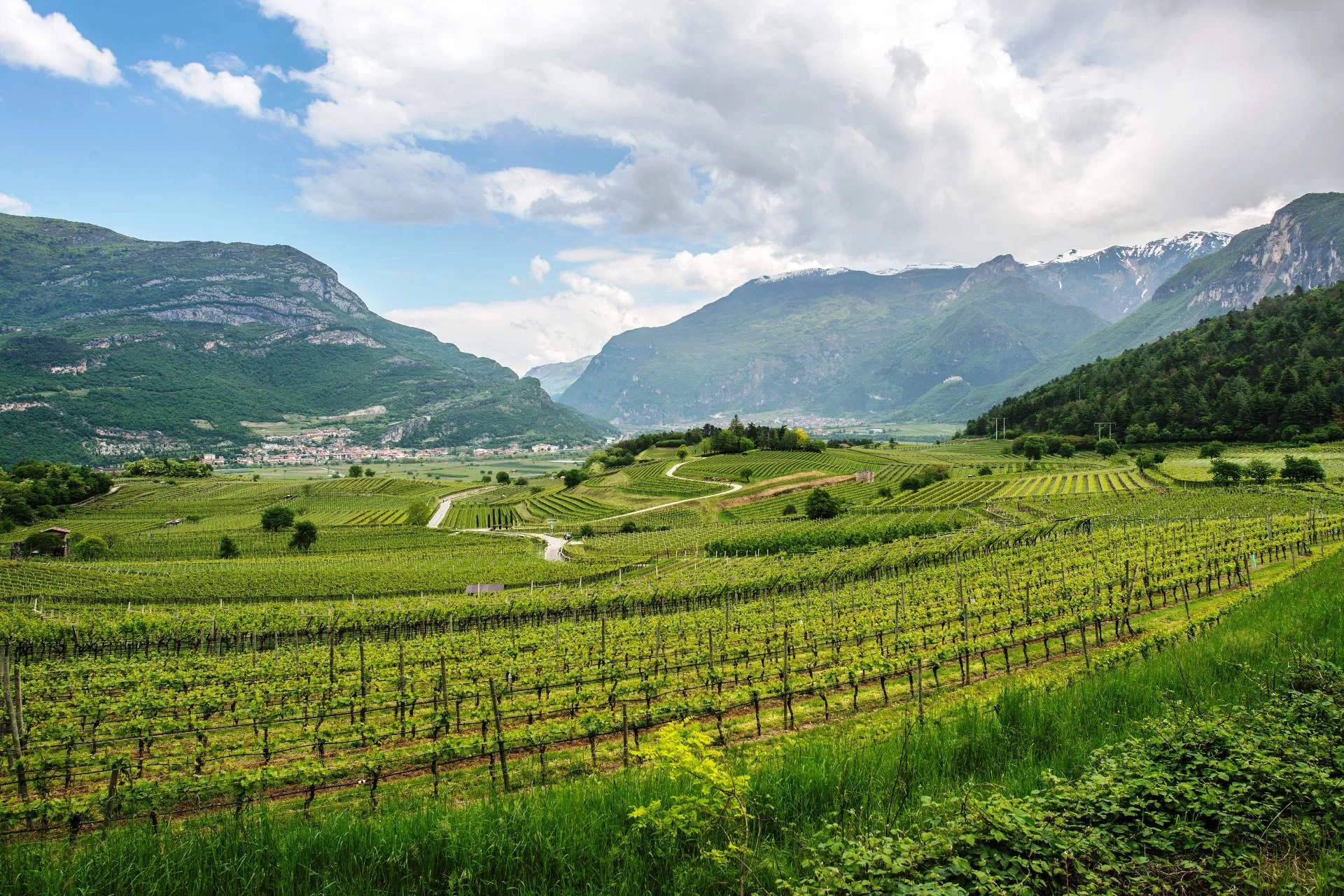 Case di lusso in montagna: tra natura, sport e relax