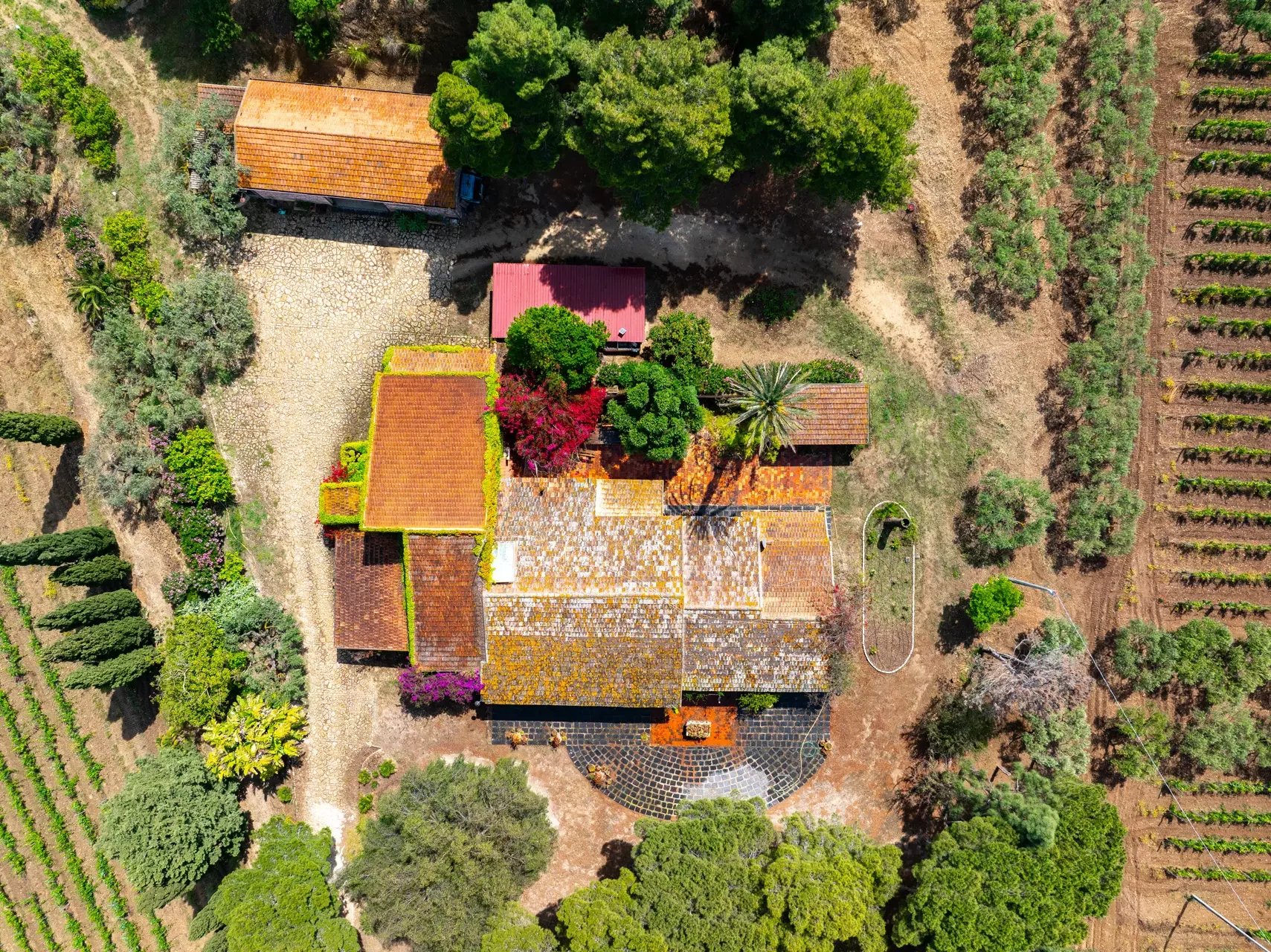 Tenuta Cattolica: vigneti e mare, un investimento unico in Sicilia