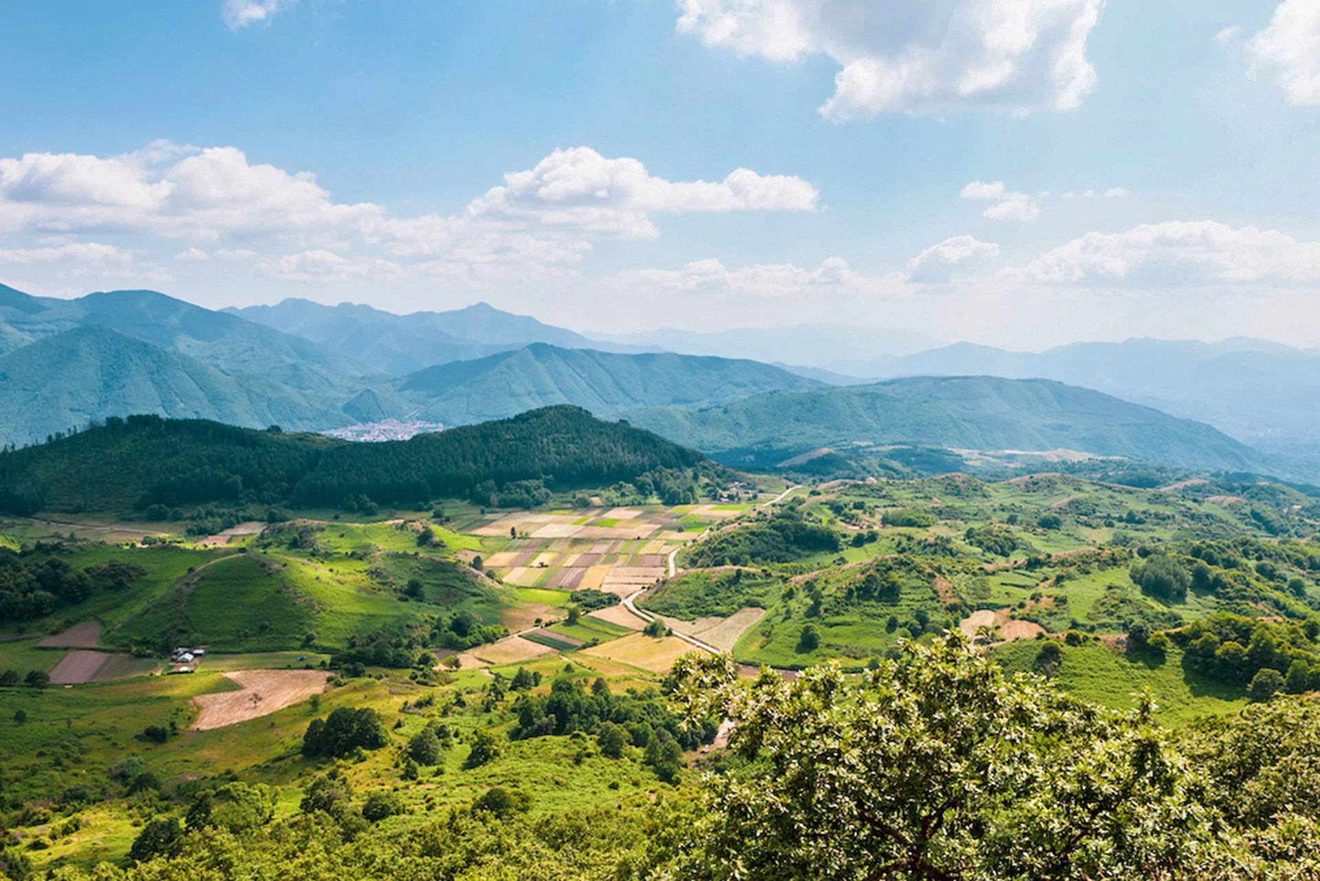 Aglianico Wine Resort: perché scegliere una wine estate nel Sud Italia