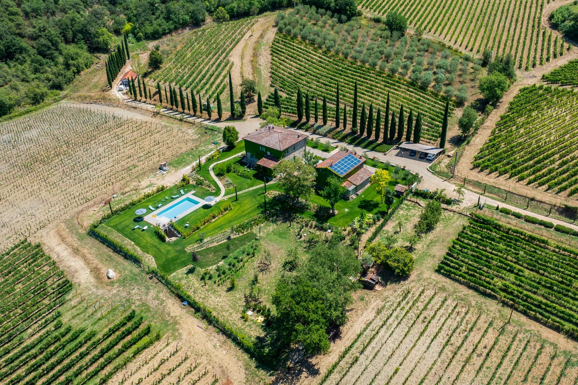 Tenute con produzione propria: raccontare il territorio attraverso vino e olio