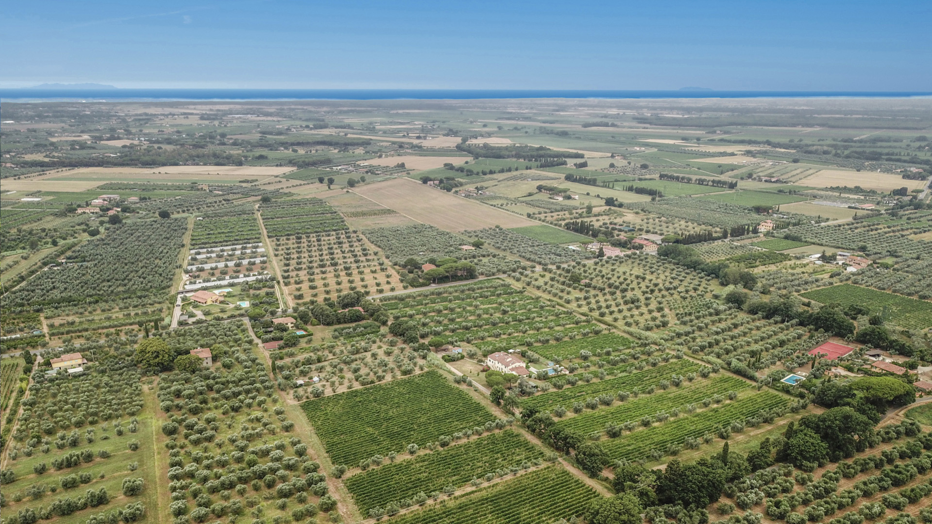 Bolgheri: vino, mare e ville tra le colline etrusche