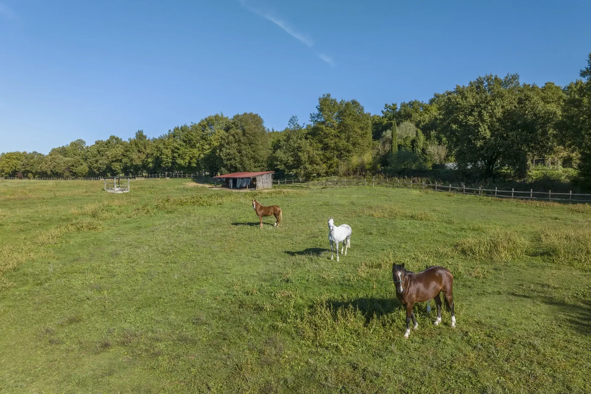 Un contesto naturale pensato per l’equitazione