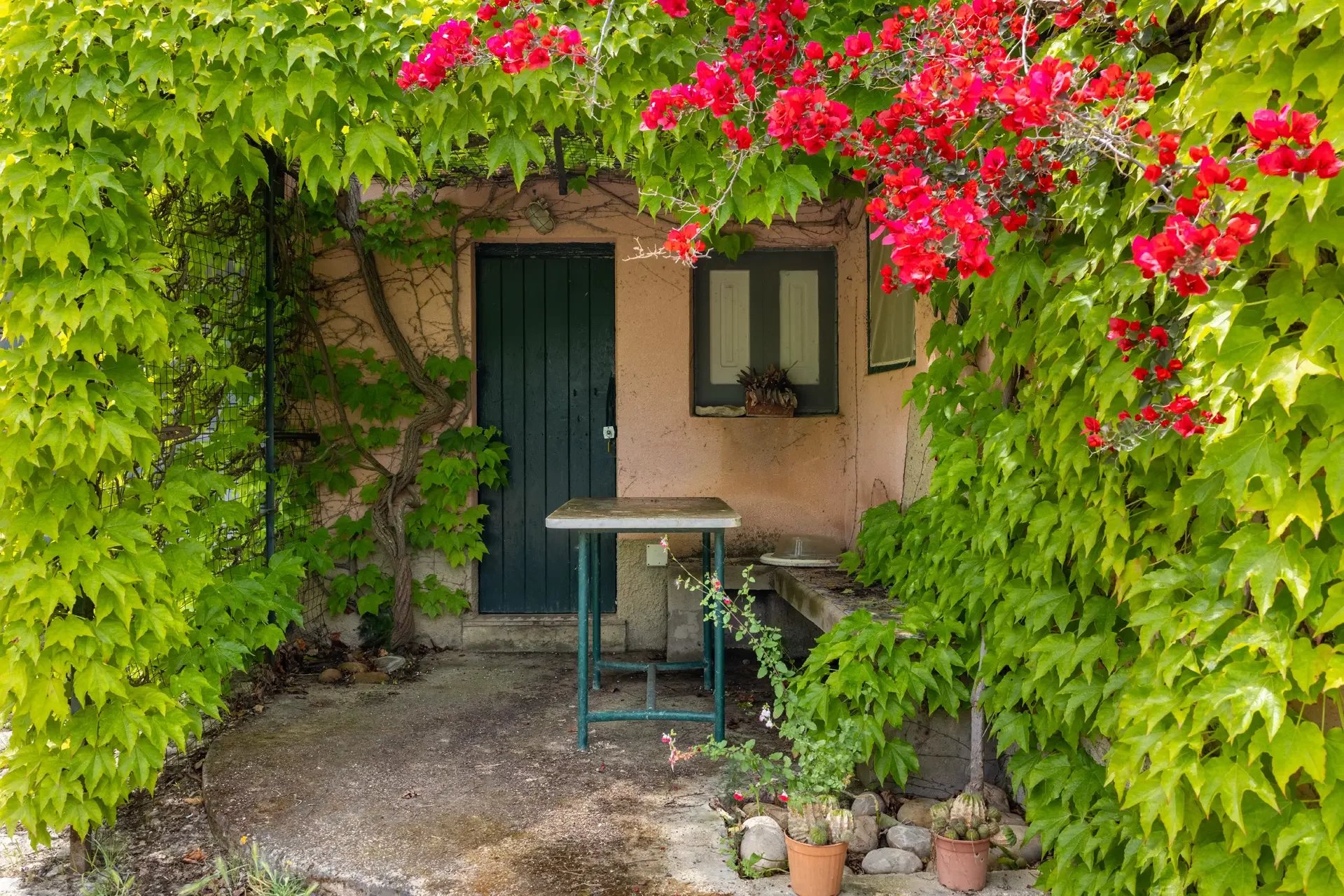 Un progetto tra vino, ospitalità e lifestyle siciliano