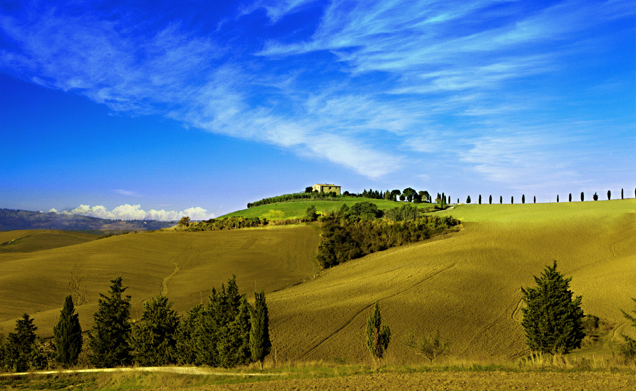 Vino, benessere e lifestyle