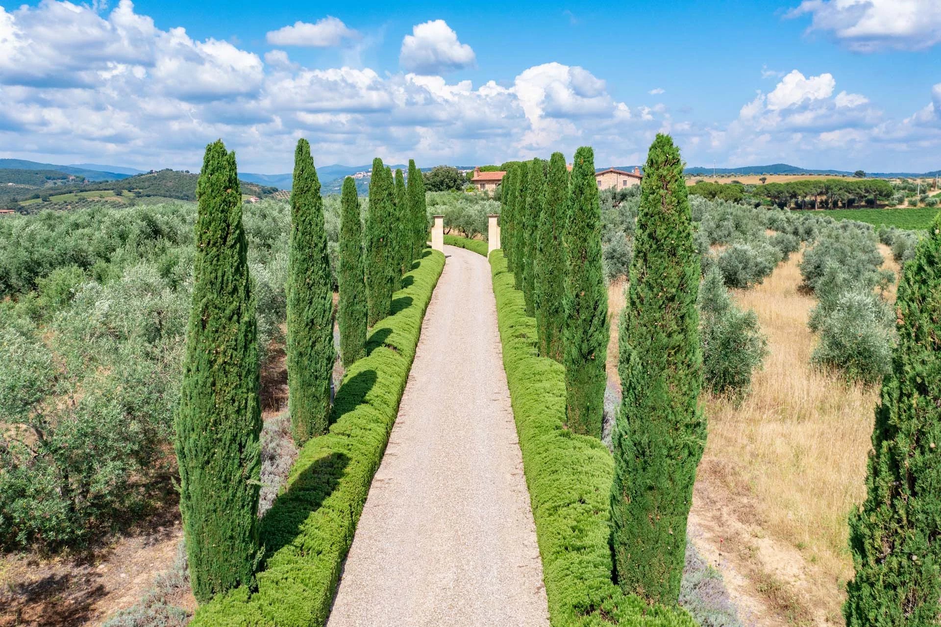 Cantina, vigneto e produzione agricola