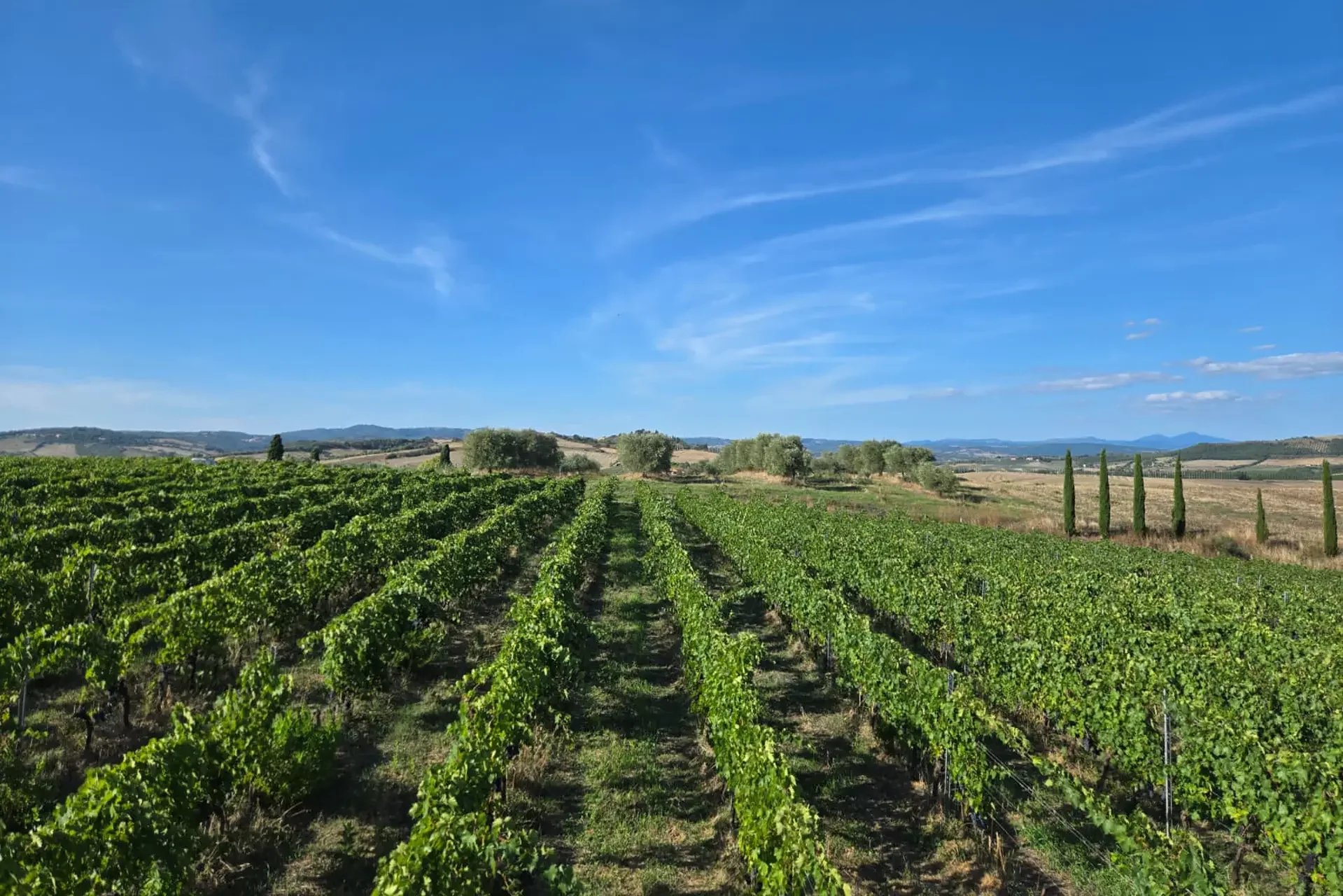 La campagna: natura, spazio e autenticità