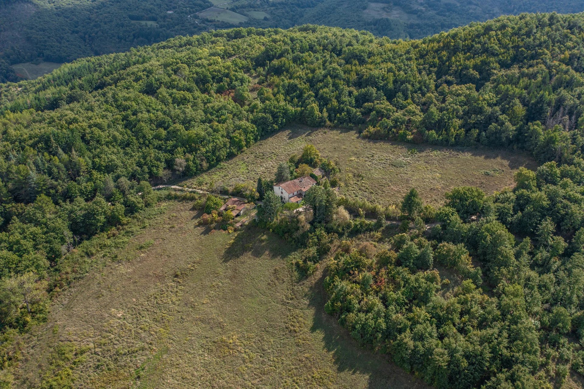 Le vigne come forma di lifestyle