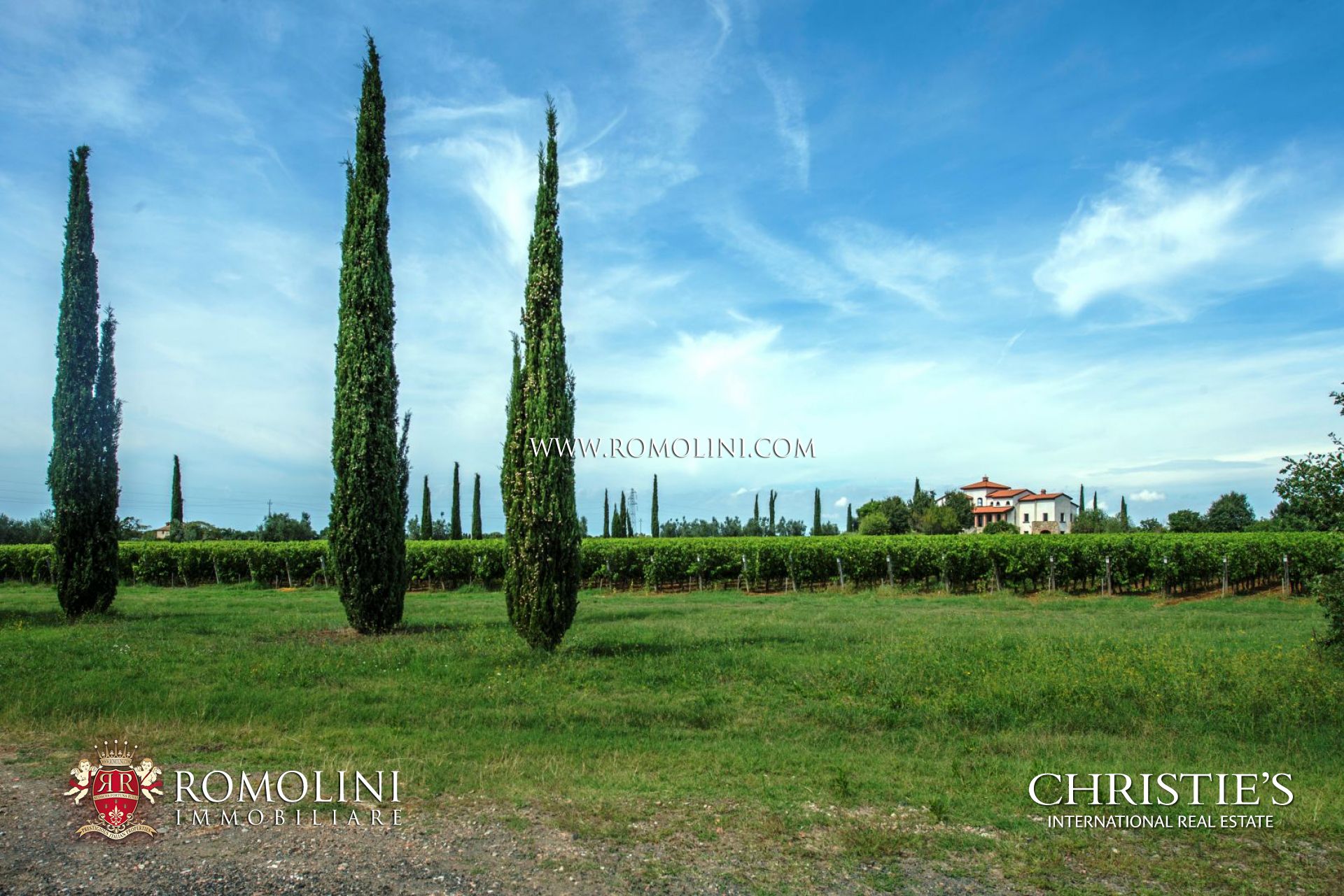 AZIENDA AGRICOLA VINICOLA IN VENDITA A BOLGHERI, TENUTA, CANTINE CON VIGNETO IN VENDITA A BOLGHERI