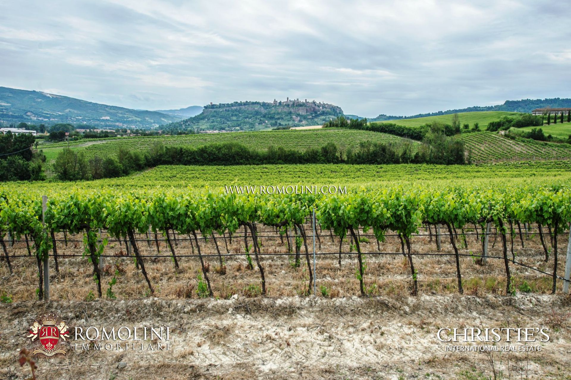 IMMOBILI DI LUSSO, CASALI, TENUTE E VILLE IN VENDITA A ORVIETO, UMBRIA