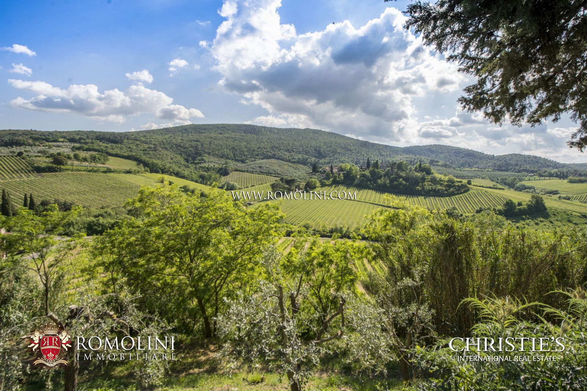 AZIENDA VITIVINICOLA IN VENDITA A SAN GIMIGNANO - CASALI, VILLE E AGRITURISMI IN TOSCANA