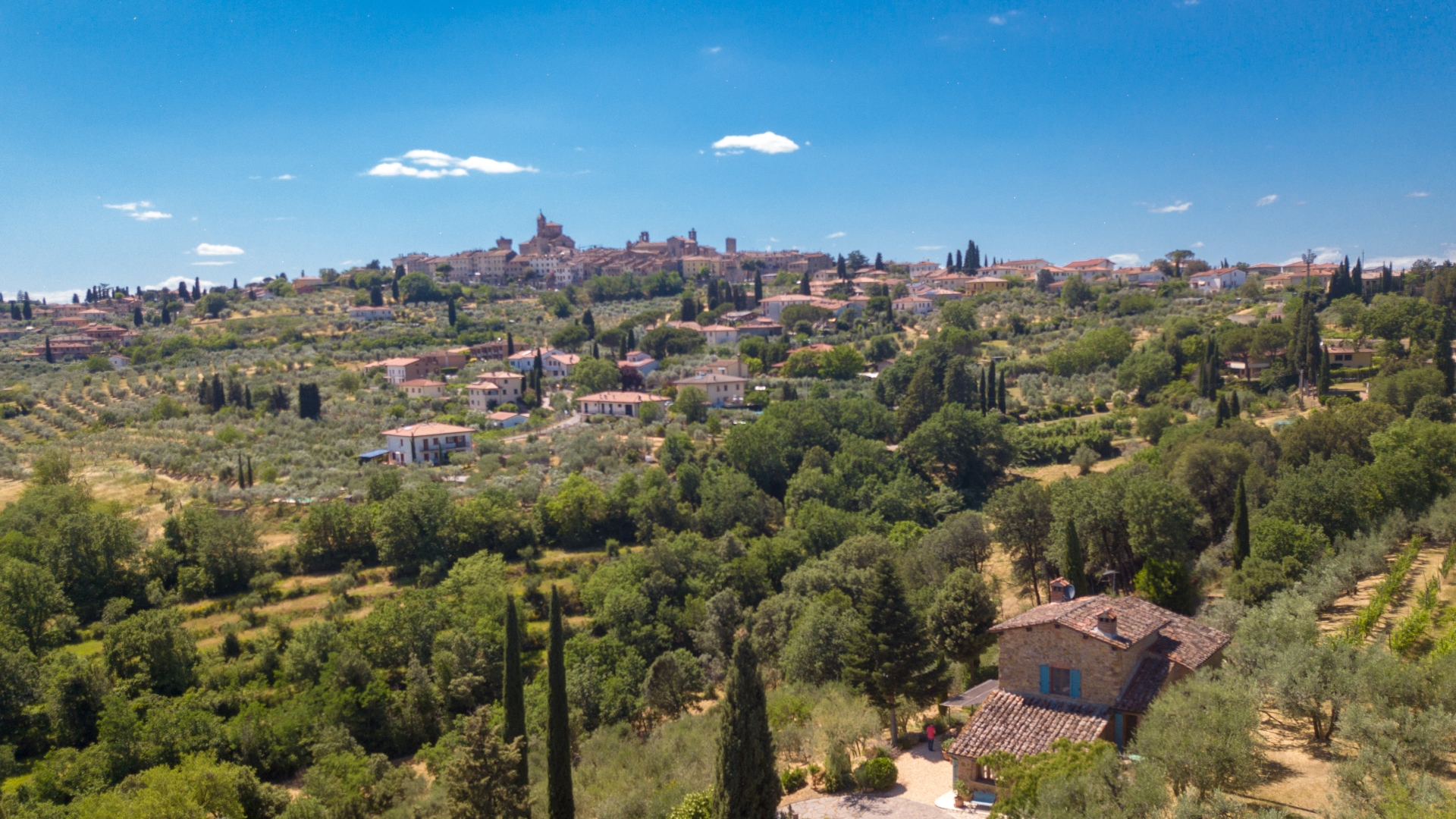 CASALI RISTRUTTURATI, VILLE E AZIENDE AGRICOLE IN VENDITA A LUCIGNANO, TOSCANA