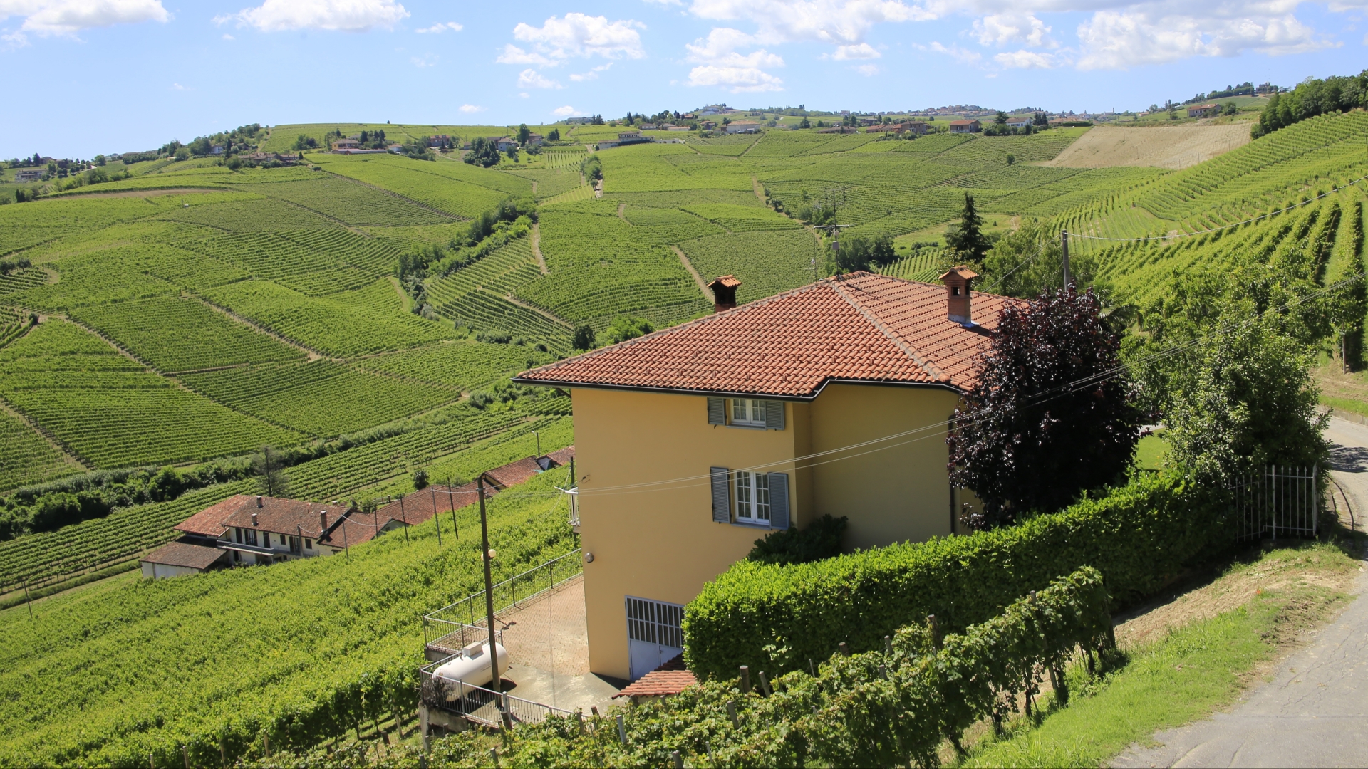 VILLE DI LUSSO E AZIENDE VITIVINICOLE IN VENDITA AD ALESSANDRIA, PIEMONTE