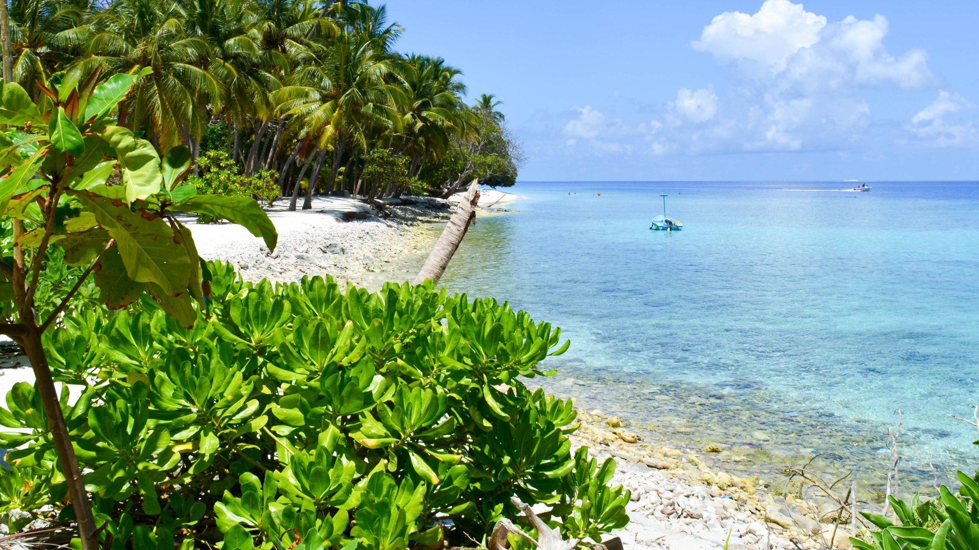 MALDIVE, RAIDHIGGA - ISOLA VERGINE E RESORT ALLE MALDIVE IN VENDITA