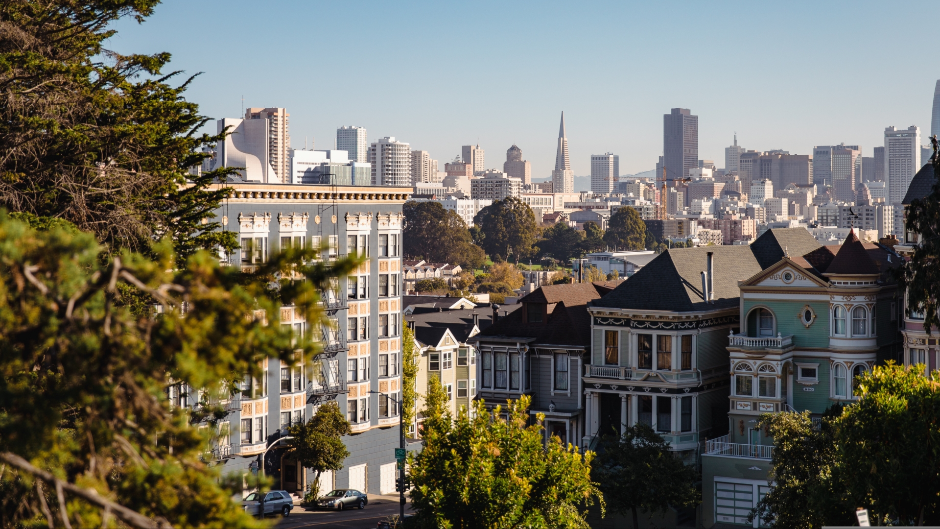 VILLE DI LUSSO E RANCH IN VENDITA A RANCHO SANTA FE, CONTEA DI SAN DIEGO