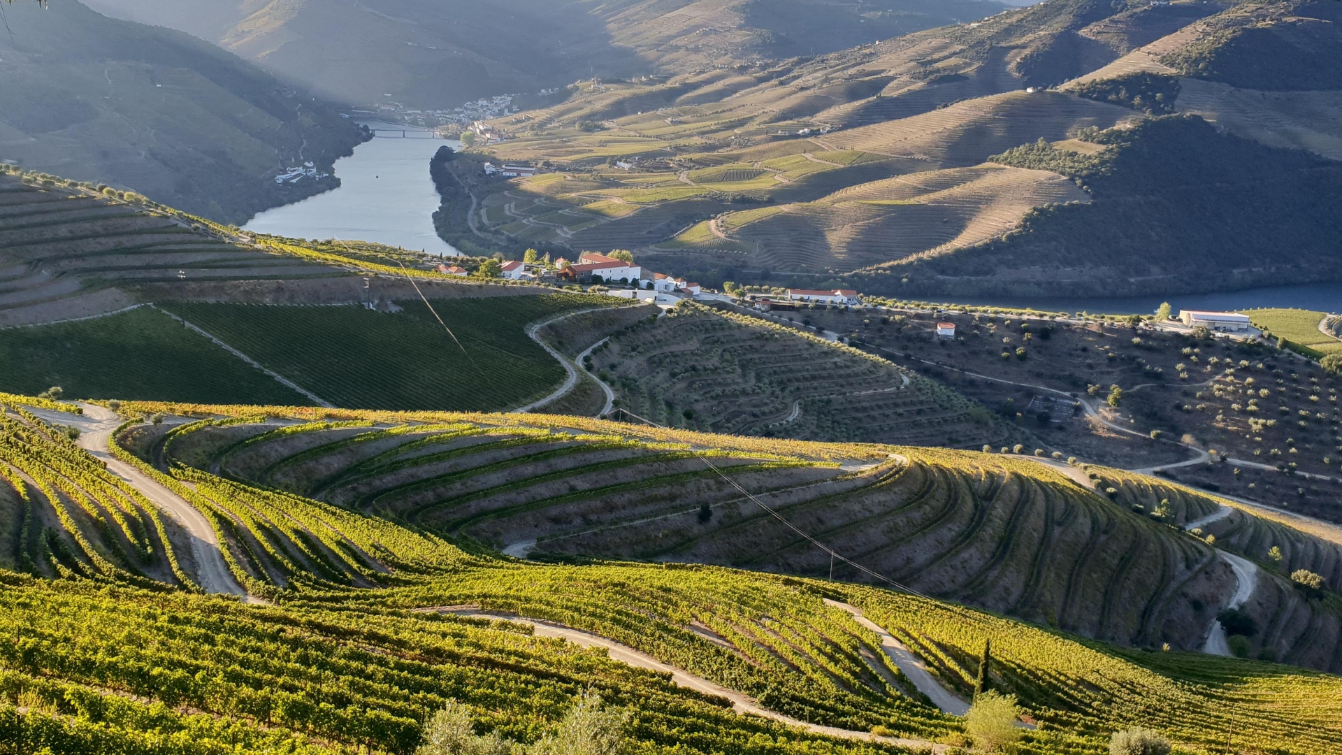 VILLE, CASTELLI E VIGNETI IN VENDITA NELLA VALLE DEL DOURO, PORTOGALLO