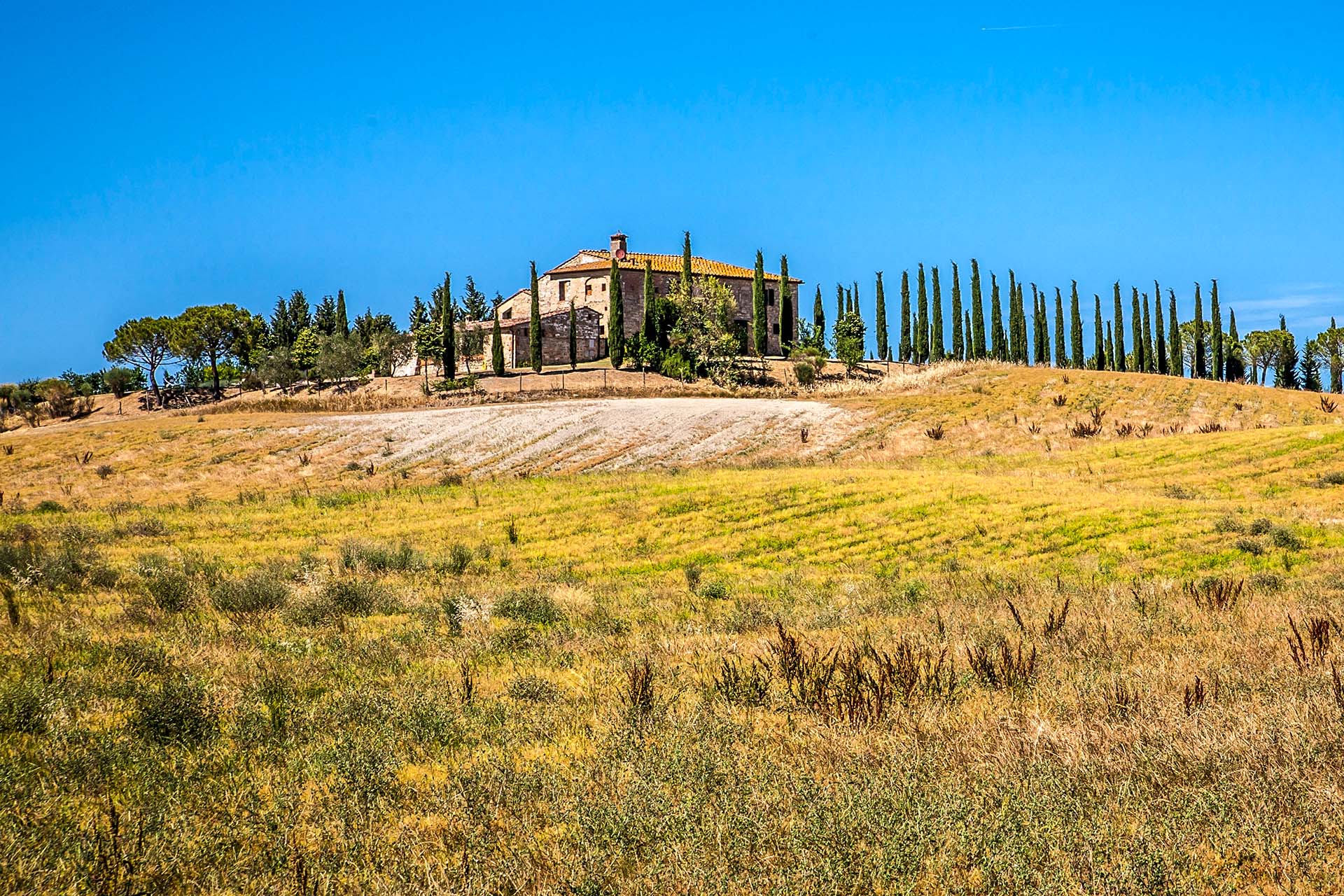 ASCIANO: CASOLARI, VILLE RUSTICHE, AGRITURISMI E AZIENDE AGRICOLE IN VENDITA AD ASCIANO, TOSCANA CRETE SENESI