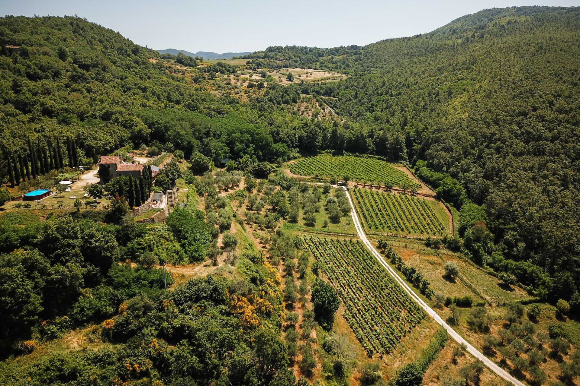 RUFINA: CASALI, VILLE RUSTICHE, AGRITURISMI E AZIENDE VITIVINICOLE CHIANTI IN VENDITA A RUFINA, FIRENZE TOSCANA